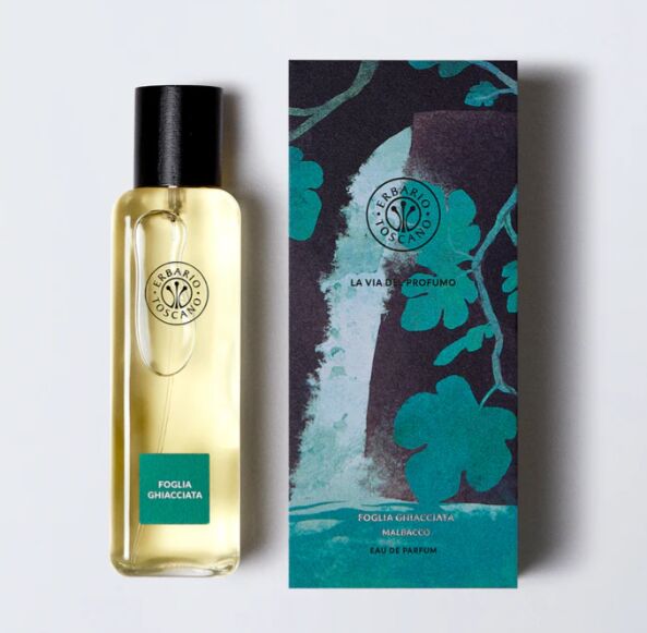 عطر ادکلن فوگلیا گیاچیاتا اِرباریو توسکانو - Foglia Ghiacciata Erbario Toscano - بررسی، قیمت و خرید