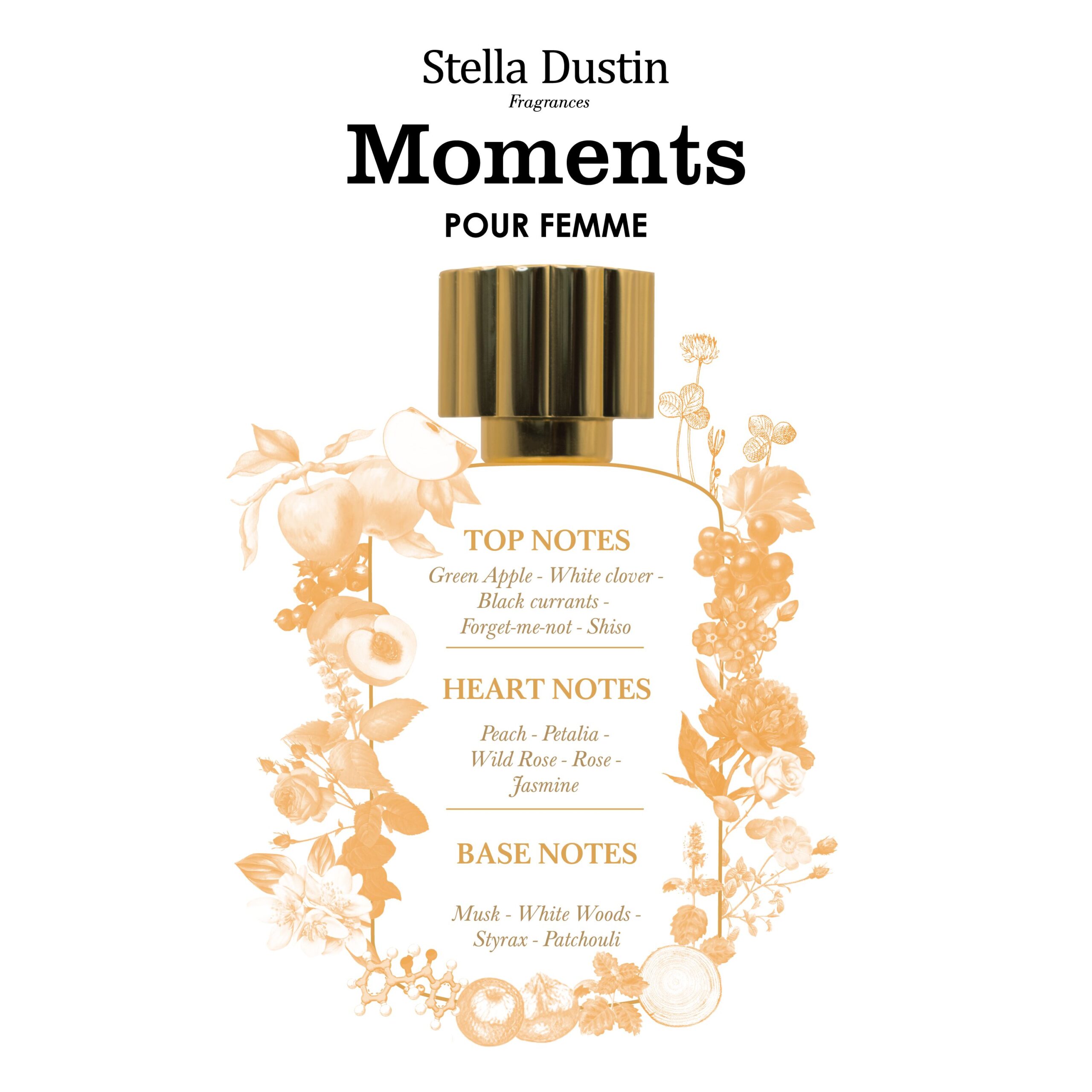 عطر ادکلن مومنتس پور فم استلا داستین - Moments Pour Femme Stella Dustin - بررسی، قیمت و خرید