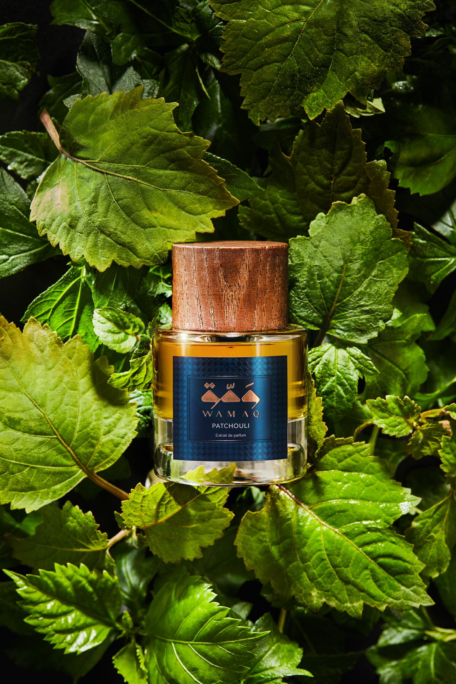 عطر ادکلن پاچولی واماق - Patchouli WAMAQ - بررسی، قیمت و خرید