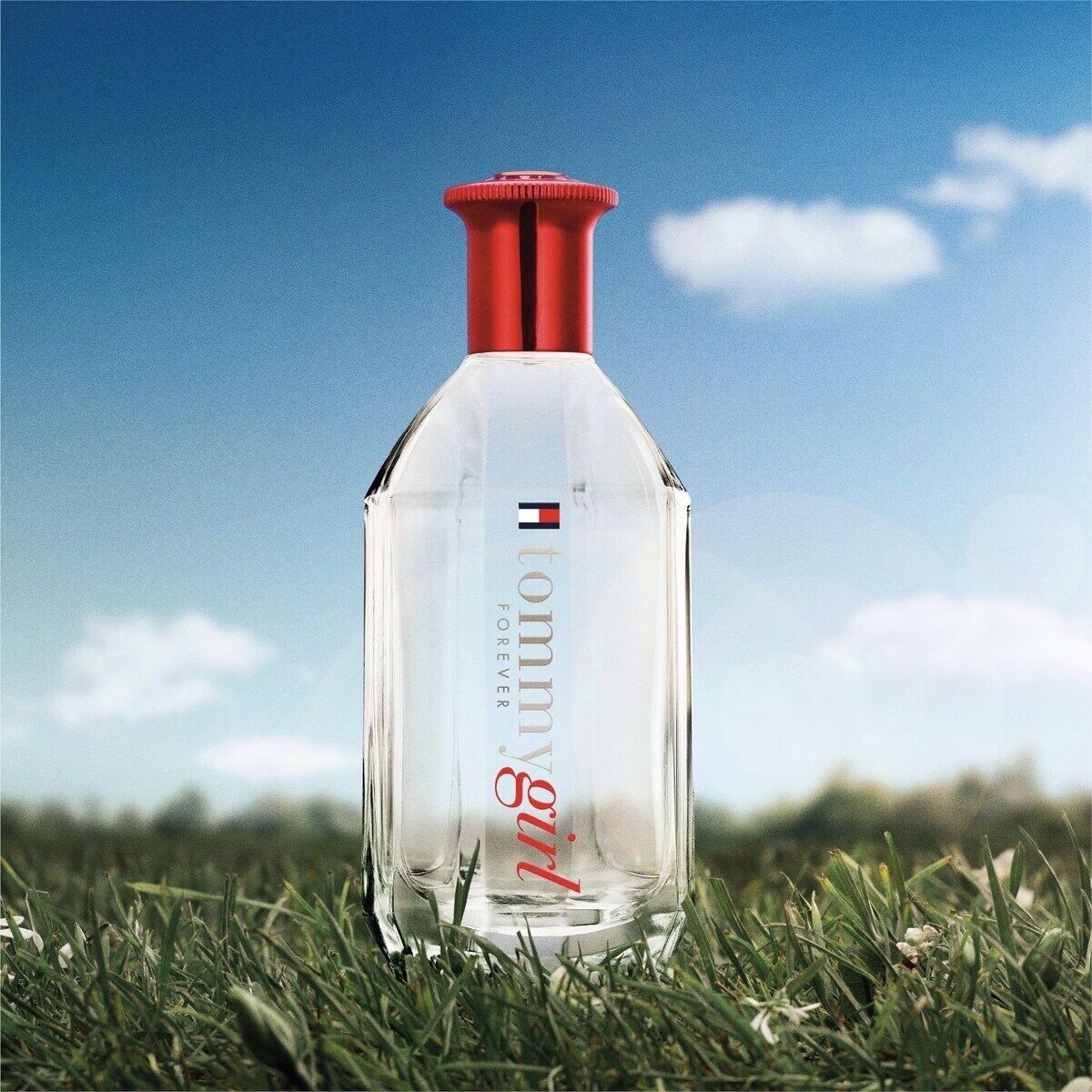 عطر ادکلن تامی گرل فوراور تامی هیلفیگر - Tommy Girl Forever Tommy Hilfiger - بررسی، قیمت و خرید