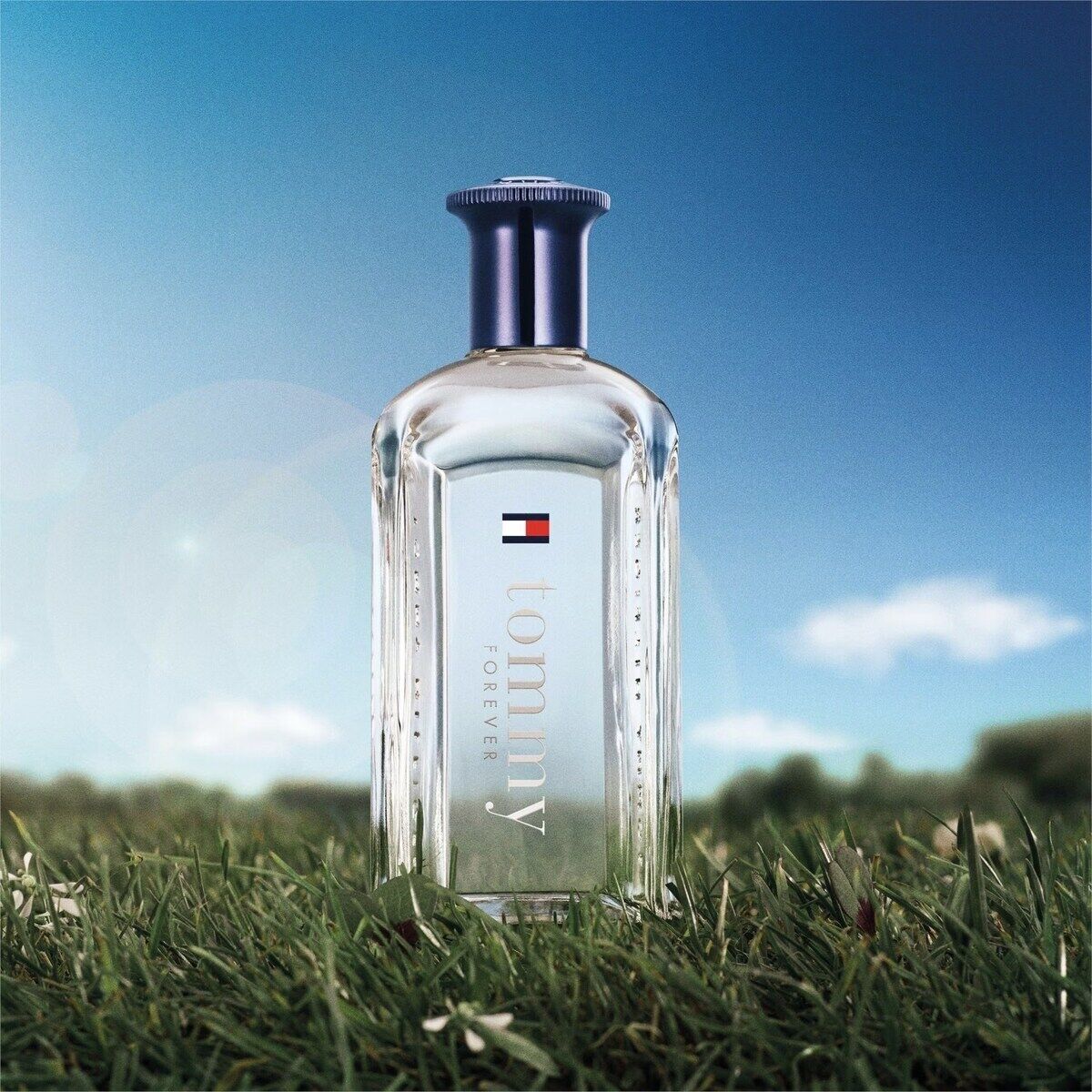 عطر ادکلن تامی فوراور تامی هیلفیگر - Tommy Forever Tommy Hilfiger - بررسی، قیمت و خرید