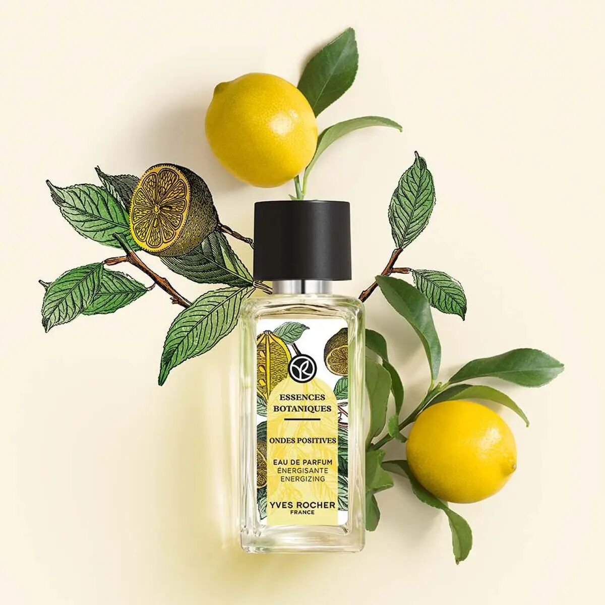 عطر ادکلن آندِ پوستیو ایو روشه - Ondes Positives Yves Rocher - بررسی، قیمت و خرید