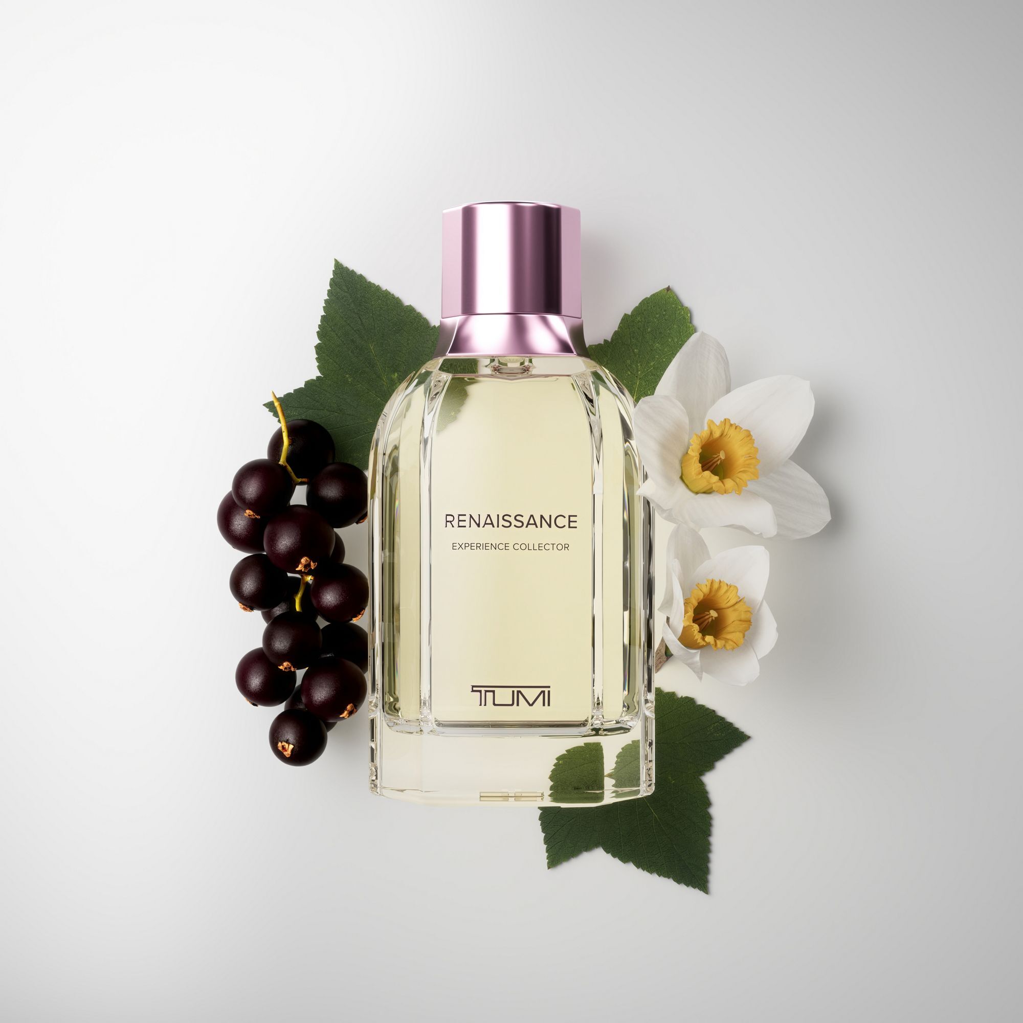 عطر ادکلن رنسانس تومی - Renaissance TUMI - بررسی، قیمت و خرید