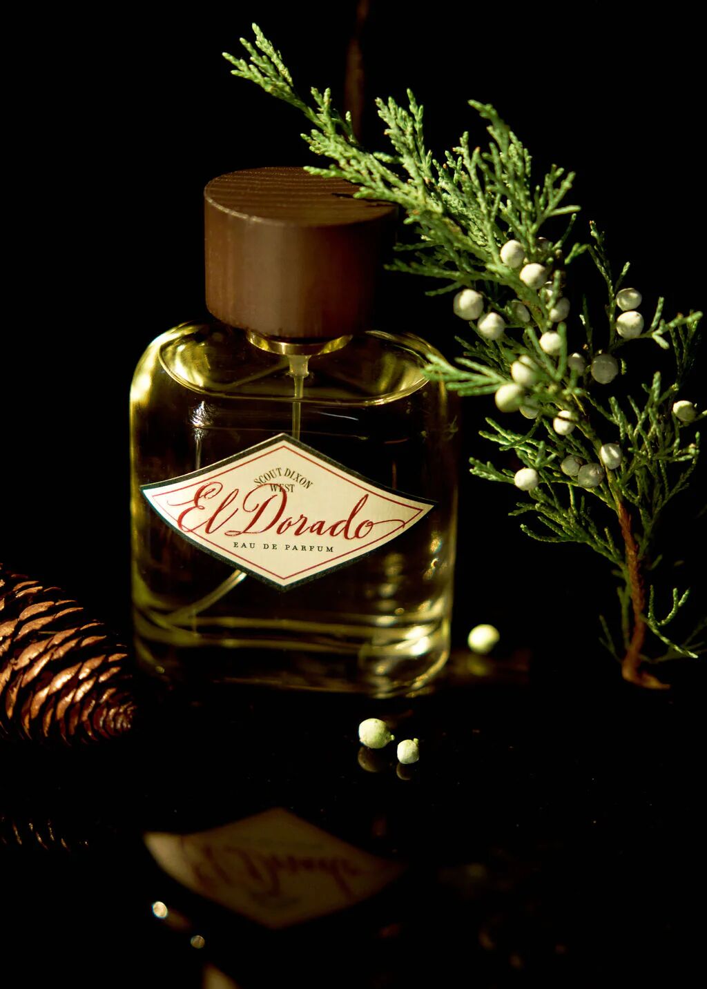 عطر ادکلن ال دورادو اسکات دیکسون وست - El Dorado Scout Dixon West - بررسی، قیمت و خرید