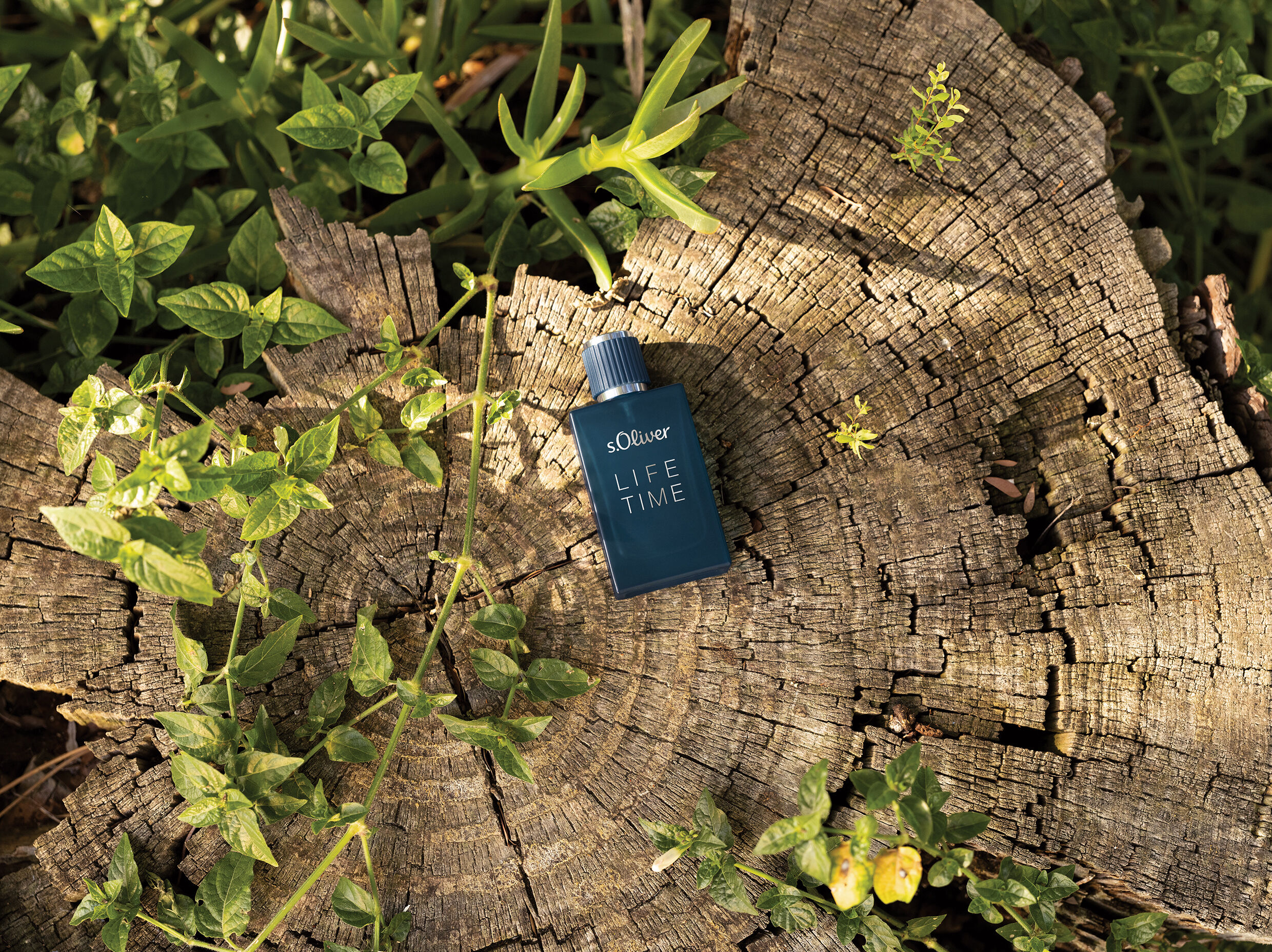 عطر ادکلن لایف‌تایم من اس اولیور - Lifetime Men s.Oliver - بررسی، قیمت و خرید