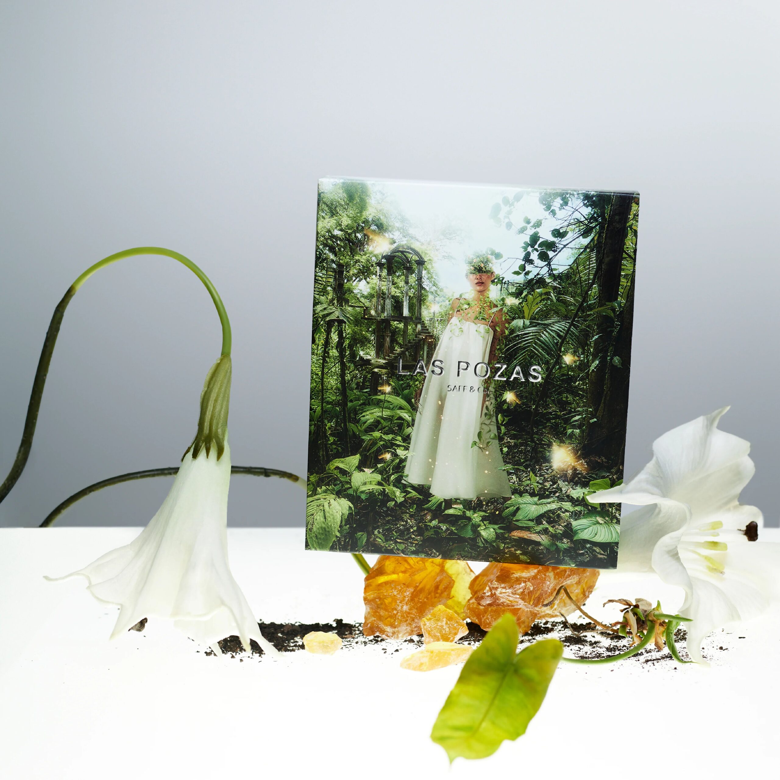 عطر ادکلن لاس پوزاس سَف اند کو - Las Pozas SAFF & Co. - بررسی، قیمت و خرید