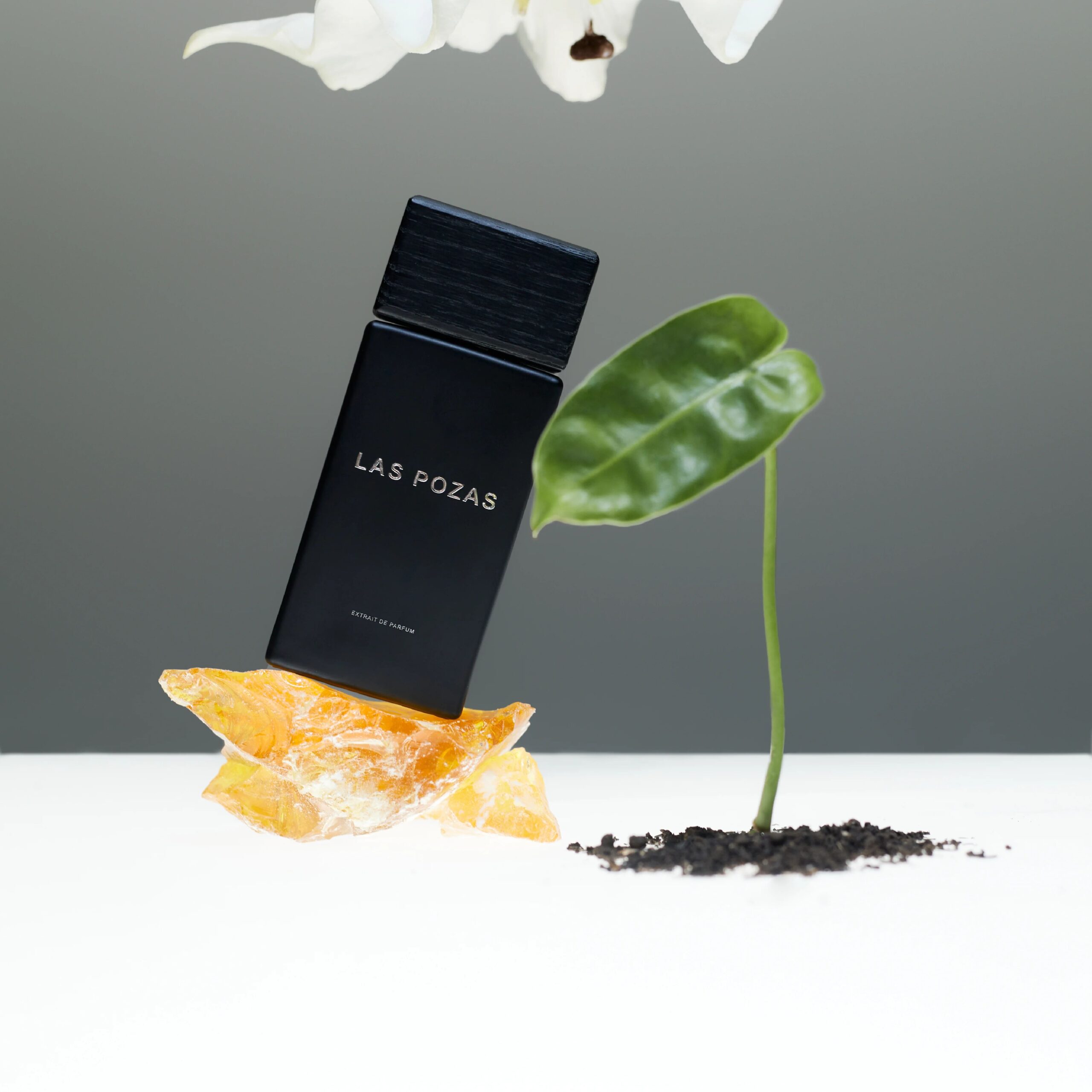 عطر ادکلن لاس پوزاس سَف اند کو - Las Pozas SAFF & Co. - بررسی، قیمت و خرید