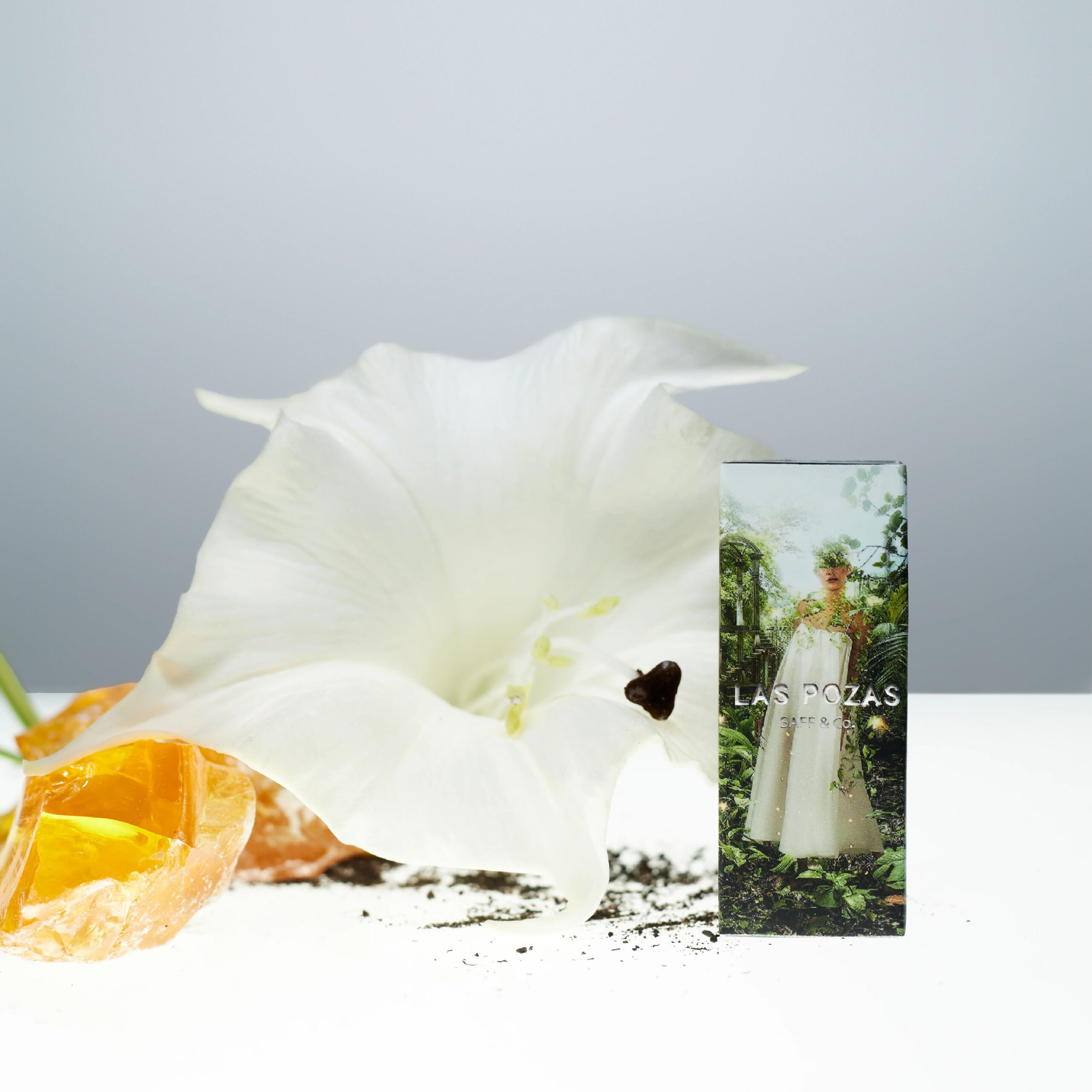 عطر ادکلن لاس پوزاس سَف اند کو - Las Pozas SAFF & Co. - بررسی، قیمت و خرید