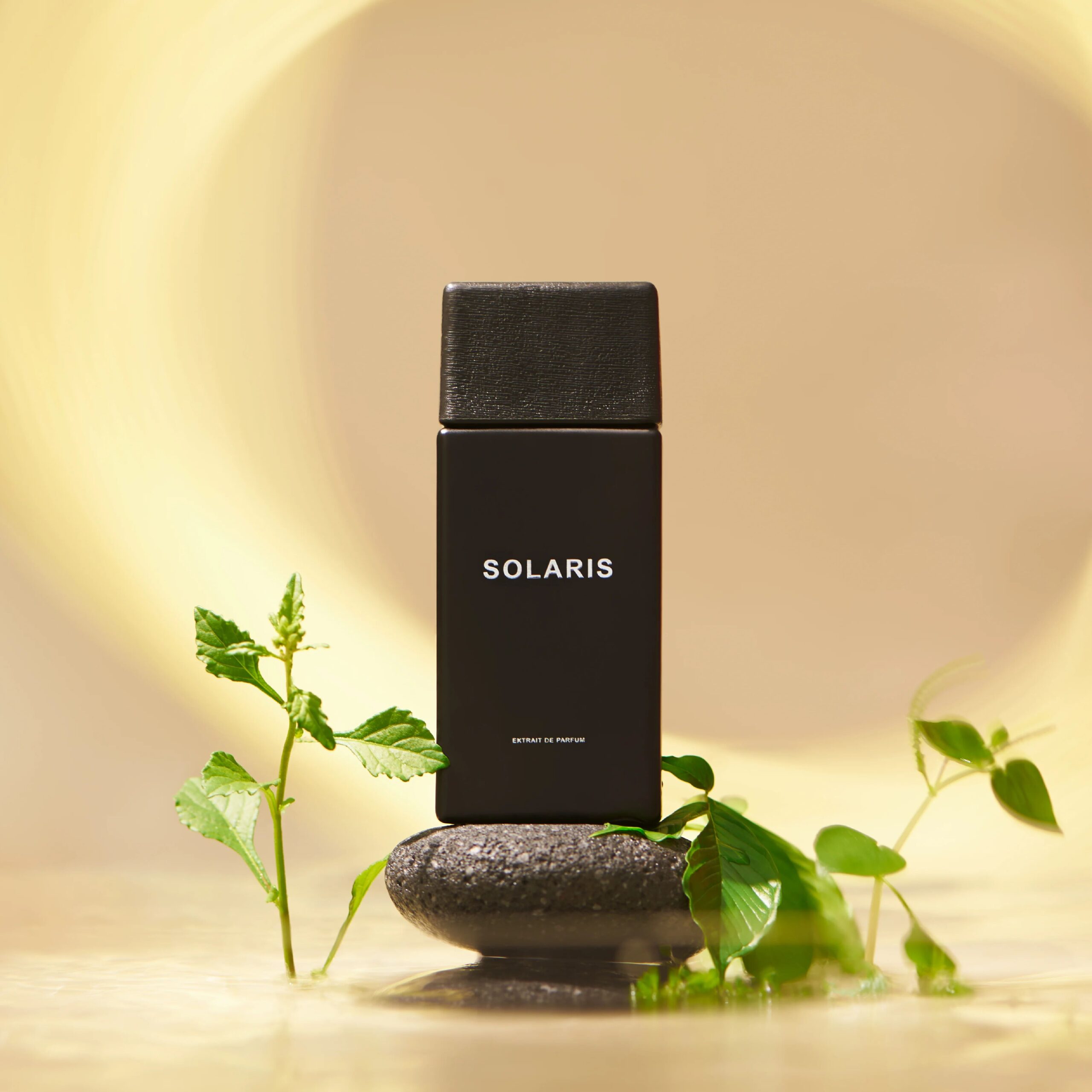 عطر ادکلن سولاریس ساف - Solaris SAFF & Co. - بررسی، قیمت و خرید