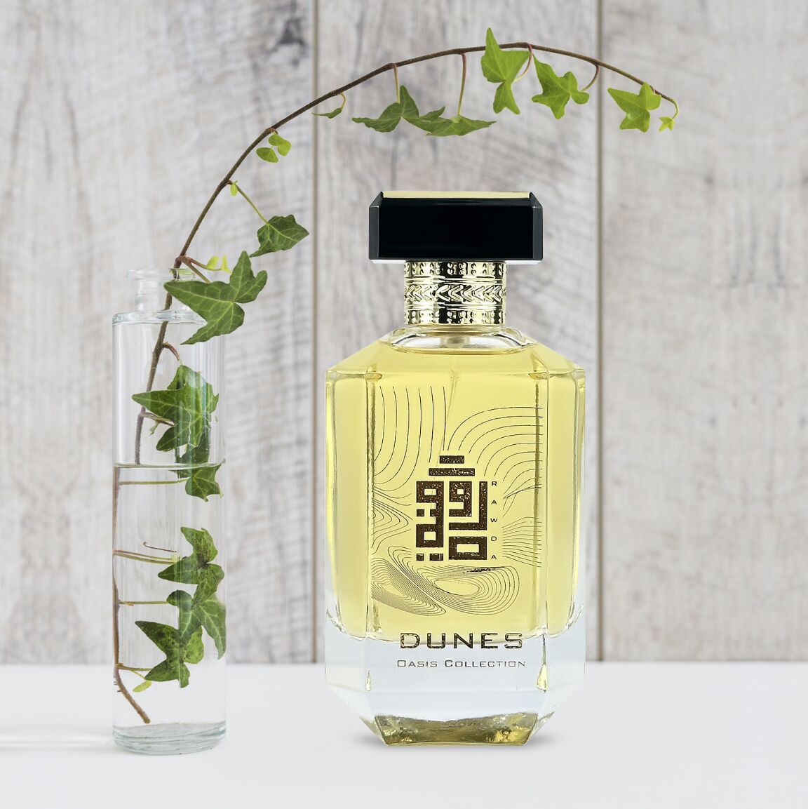 عطر ادکلن دونز رودا پرفیومز - Dunes Rawda Perfumes - بررسی، قیمت و خرید