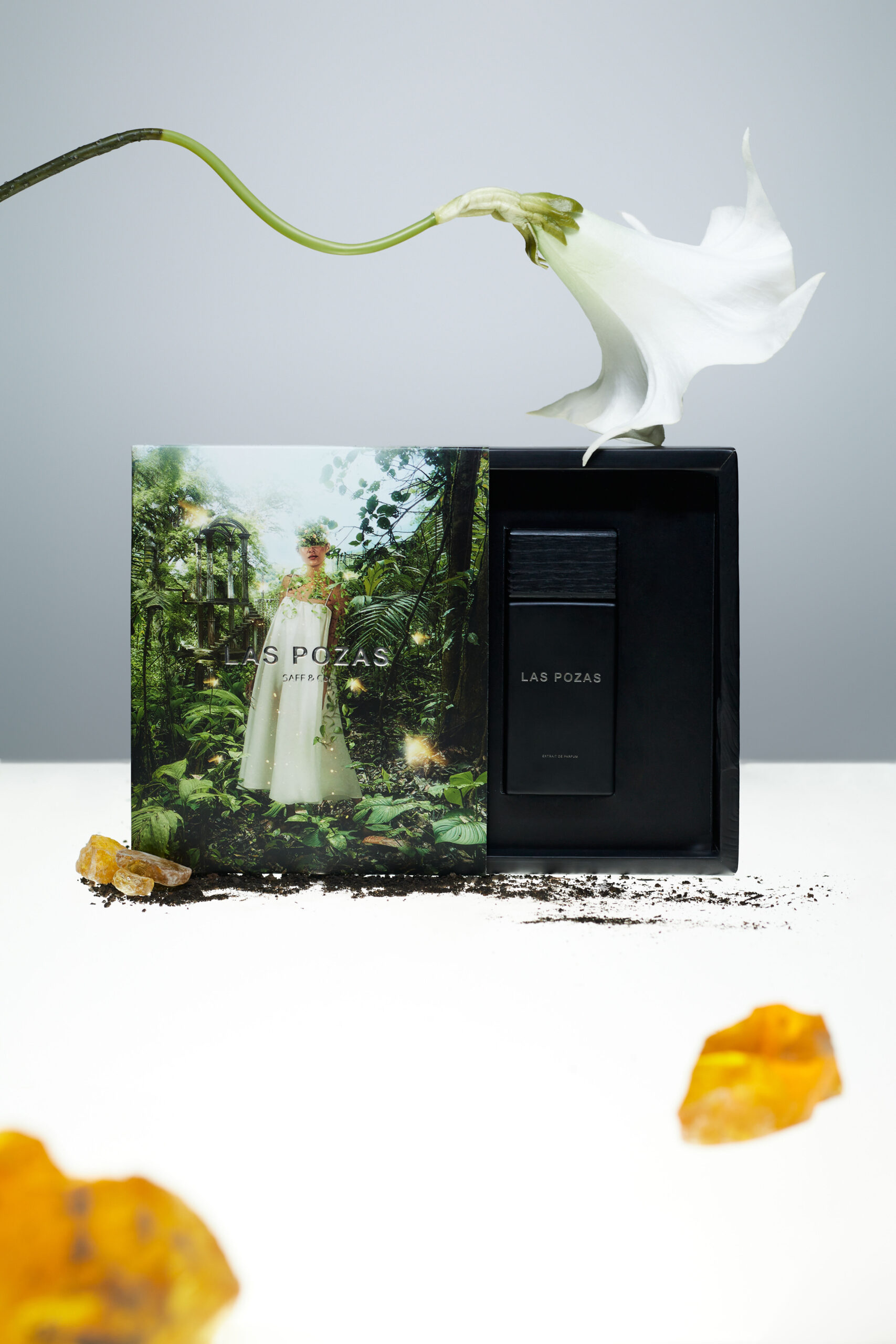 عطر ادکلن لاس پوزاس سَف اند کو - Las Pozas SAFF & Co. - بررسی، قیمت و خرید