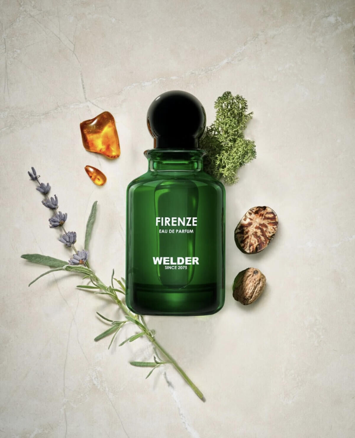 عطر ادکلن فرانزه ولدر - Firenze Welder - بررسی، قیمت و خرید