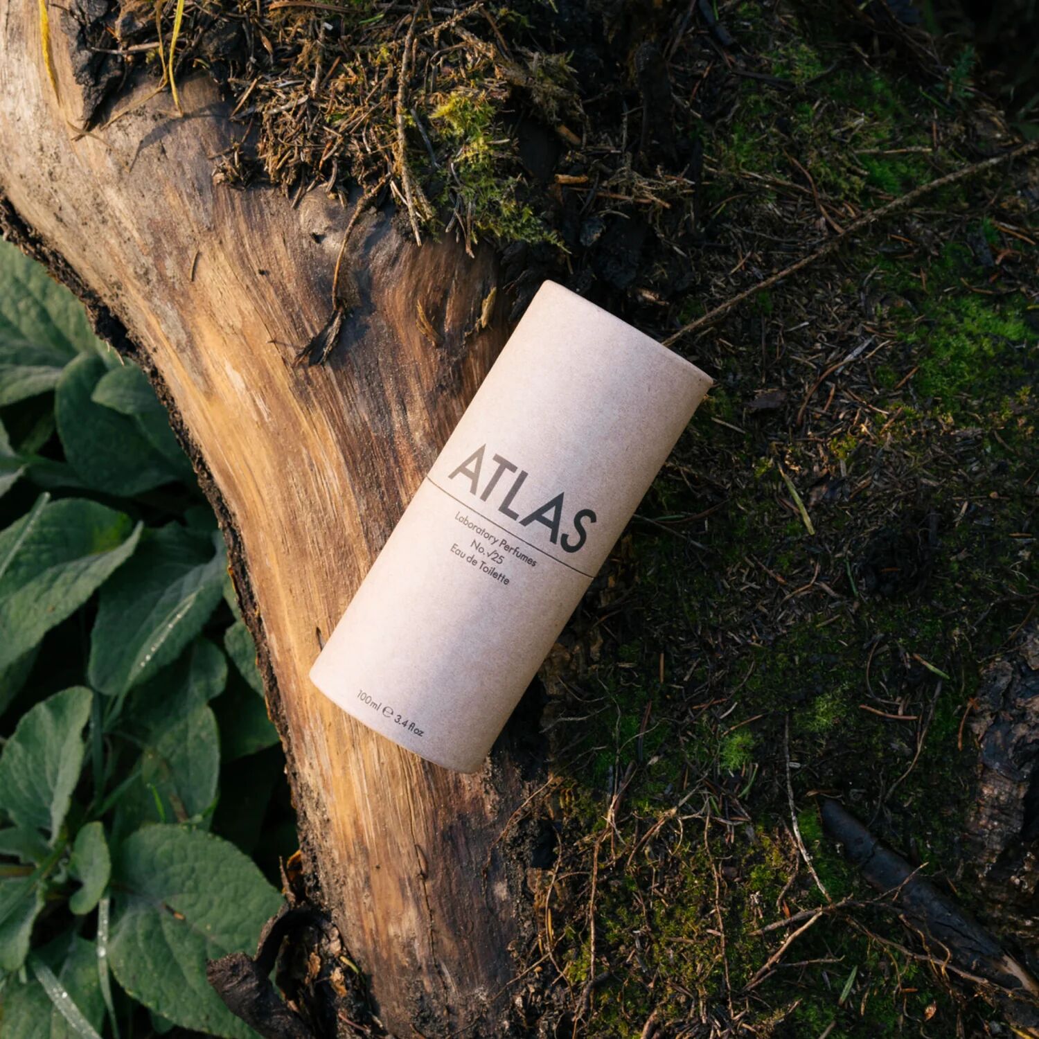 عطر ادکلن اطلس لبوراتوری پرفیومز - Atlas Laboratory Perfumes - بررسی، قیمت و خرید