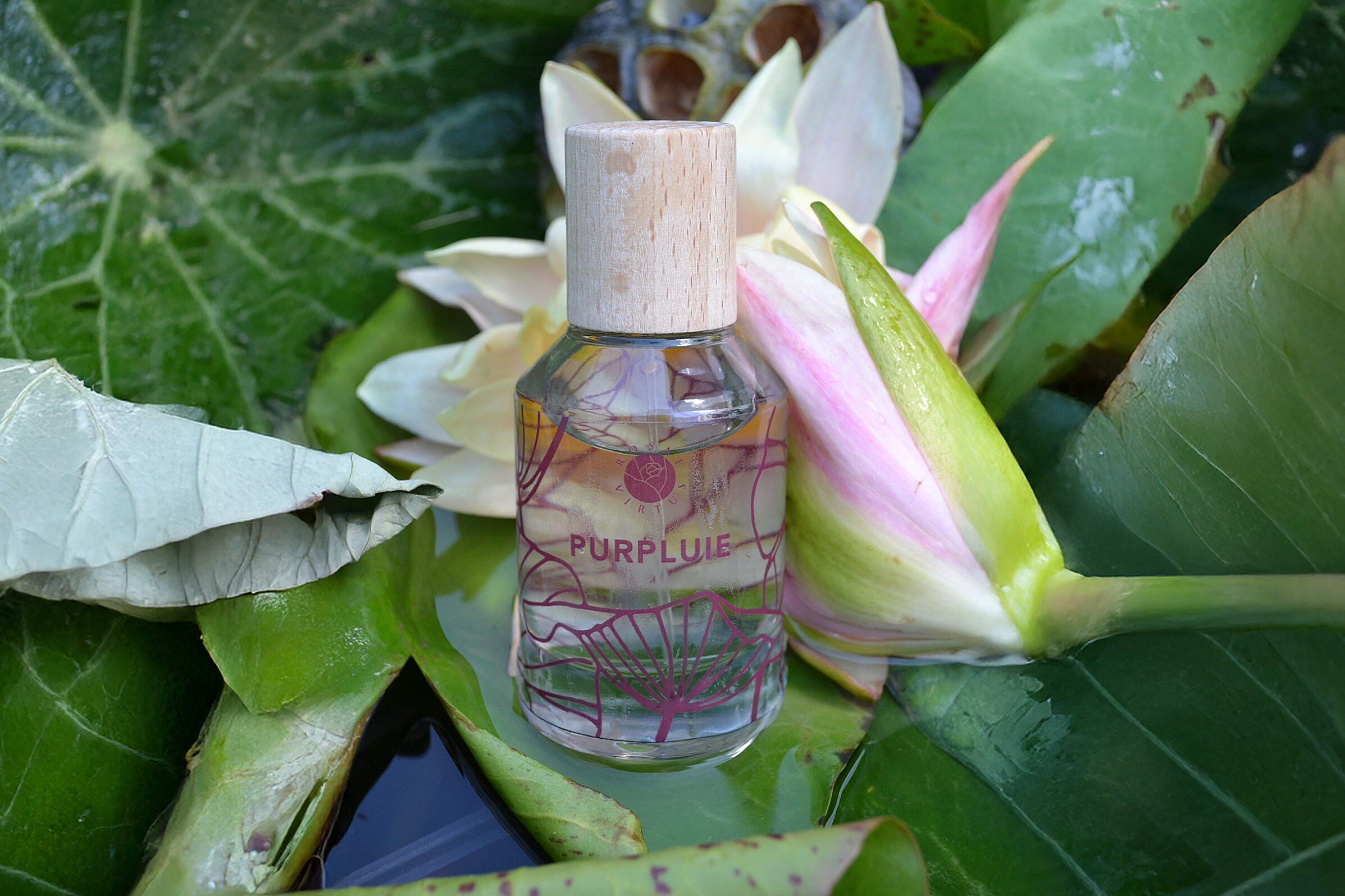 عطر ادکلن پرپلوئی روزای ویرتوس - Purpluie Rosae Virtus - بررسی، قیمت و خرید