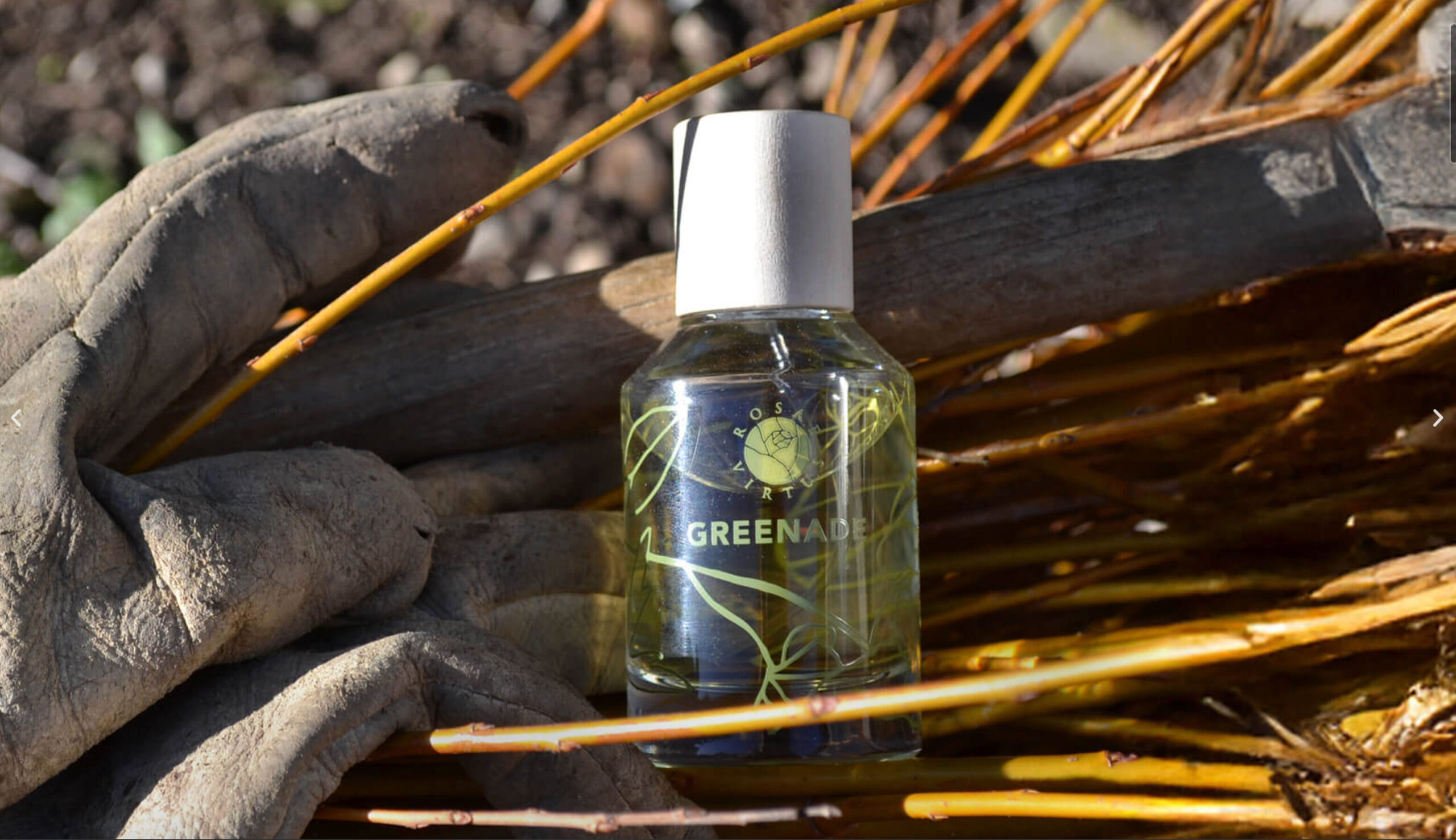 عطر ادکلن پرپلوئی روزای ویرتوس - Purpluie Rosae Virtus - بررسی، قیمت و خرید