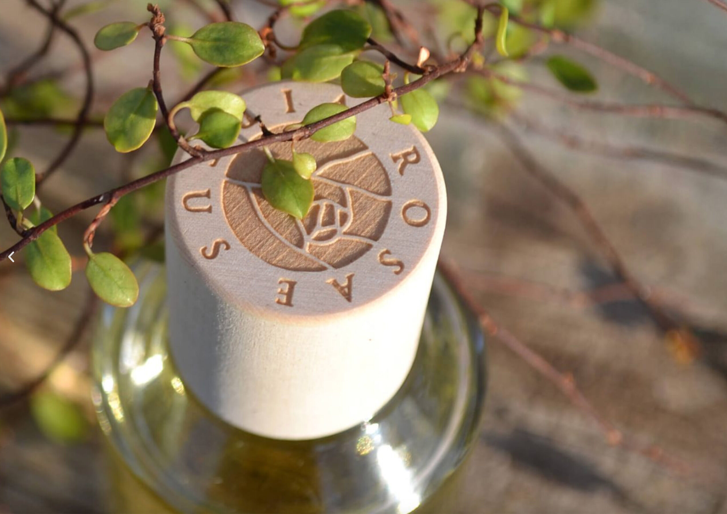 عطر ادکلن پرپلوئی روزای ویرتوس - Purpluie Rosae Virtus - بررسی، قیمت و خرید