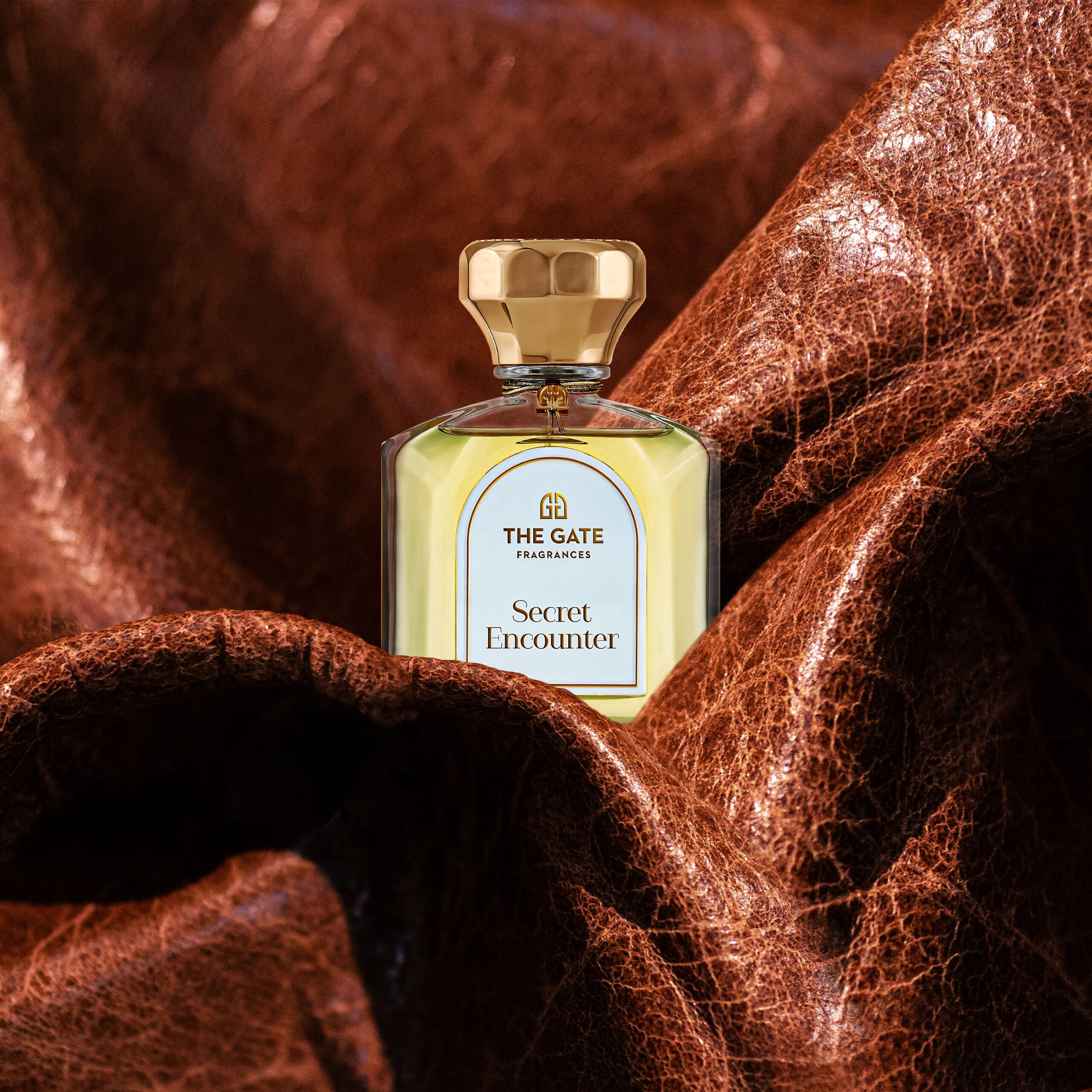 عطر ادکلن سیکرت انکانتر اکستریت د پارفوم د گیت فراگرنسس پاریس - Secret Encounter Extrait de Parfum The Gate Fragrances Paris - بررسی، قیمت و خرید