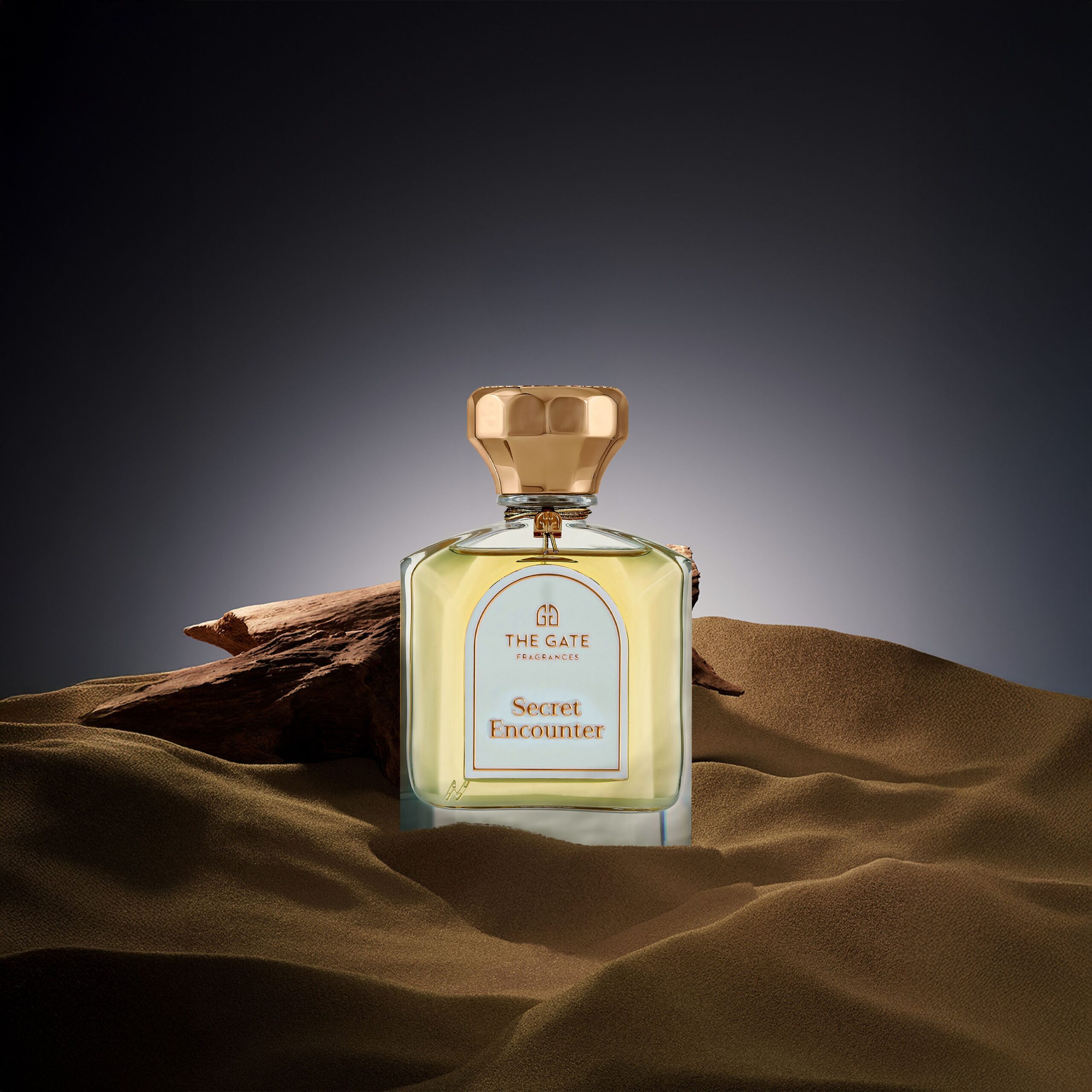 عطر ادکلن سیکرت انکانتر اکستریت د پارفوم د گیت فراگرنسس پاریس - Secret Encounter Extrait de Parfum The Gate Fragrances Paris - بررسی، قیمت و خرید