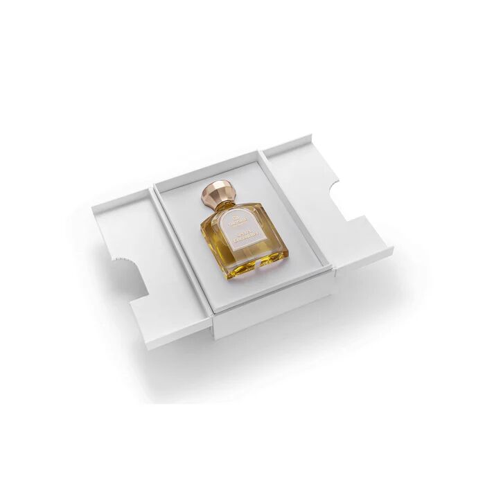 عطر ادکلن سیکرت انکانتر اکستریت د پارفوم د گیت فراگرنسس پاریس - Secret Encounter Extrait de Parfum The Gate Fragrances Paris - بررسی، قیمت و خرید