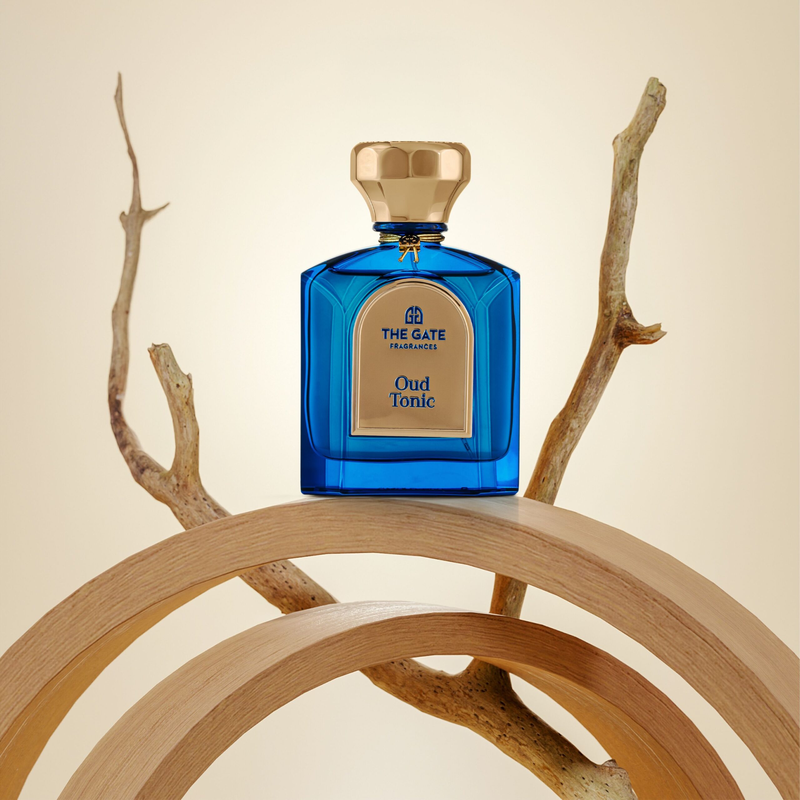 عطر ادکلن اود تونیک اکستره دو پرفیوم د گیت فراگرنسز پاریس - Oud Tonic Extrait de Parfum The Gate Fragrances Paris - بررسی، قیمت و خرید