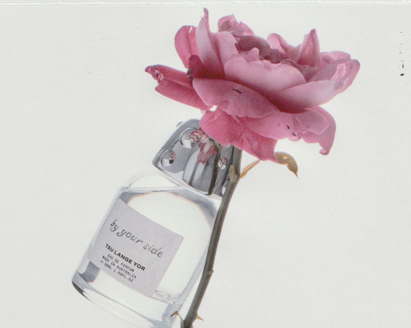 عطر ادکلن بای یور ساید تسولانگیور - By Your Side TSU LANGE YOR - بررسی، قیمت و خرید