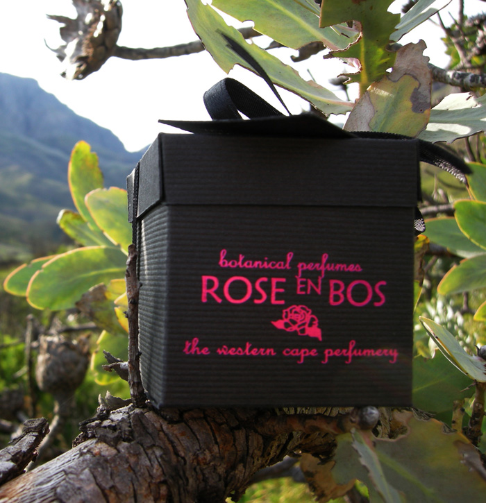 عطر ادکلن دارک هارت رُز اِن بُس - Dark Heart Rose en Bos - بررسی، قیمت و خرید