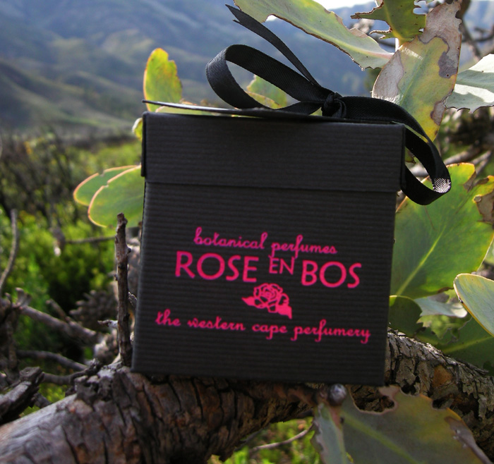 عطر ادکلن ویریدسنت رز ان بوس - Viridescent Rose en Bos - بررسی، قیمت و خرید