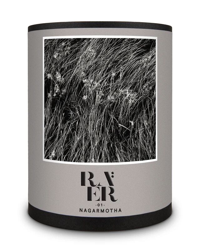 عطر ادکلن رائر ۰۱ ناگارموثا رایر سنتس - Raer 01 Nagarmotha RAER Scents - بررسی، قیمت و خرید