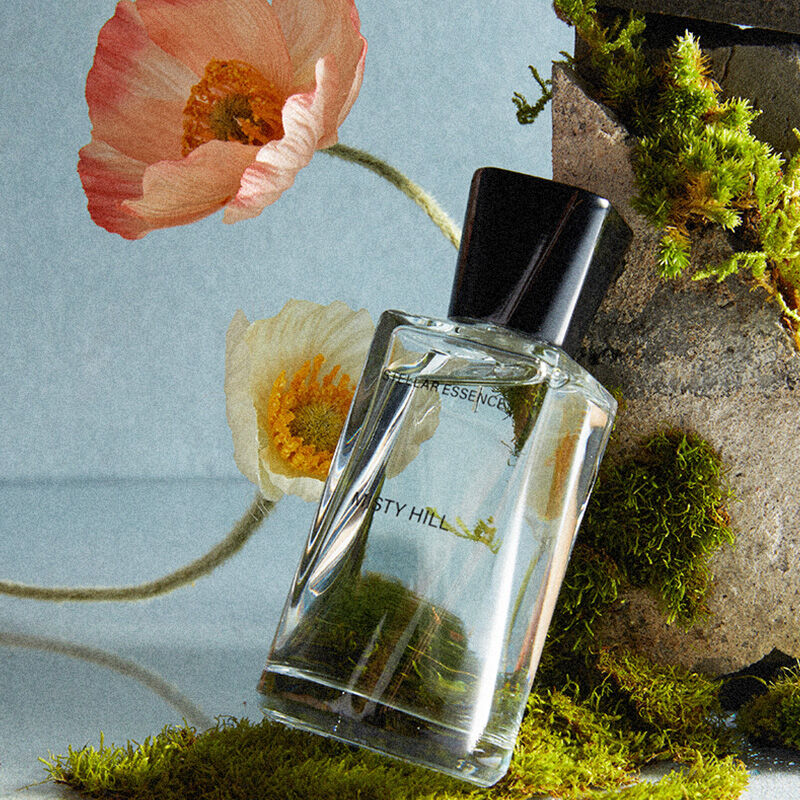 عطر ادکلن میستی هیل استلار اسنس - Misty Hill Stellar Essence - بررسی، قیمت و خرید