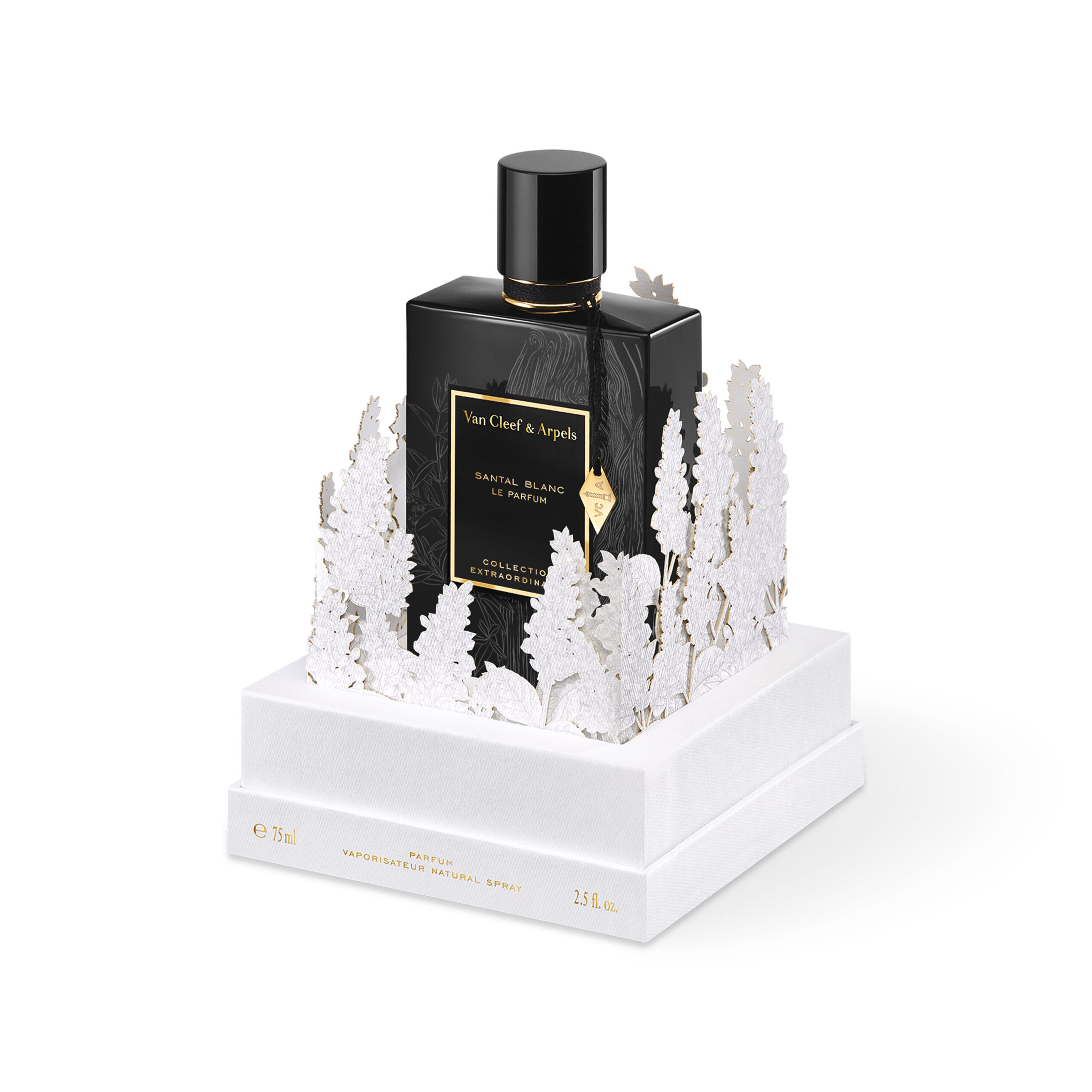 عطر ادکلن سانتال بلانک له پرفیوم ون کلیف اند آرپلس - Santal Blanc Le Parfum Van Cleef & Arpels - بررسی، قیمت و خرید
