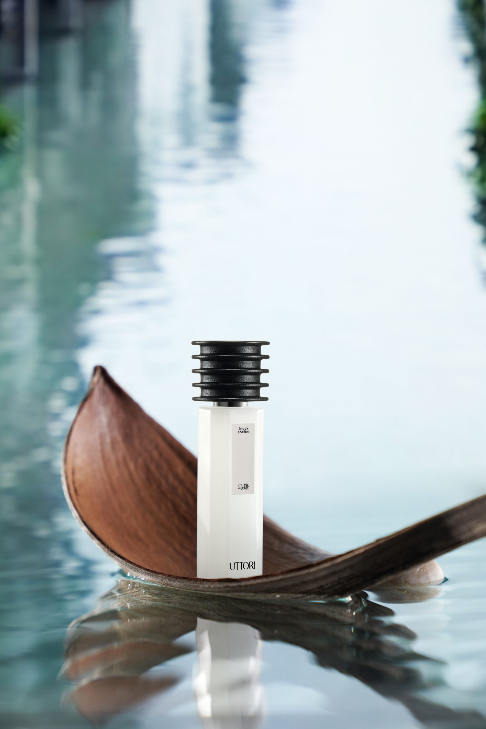 عطر ادکلن بلاک شلتر ووپنگ اوتوری - Black Shelter 乌篷 Uttori 五朵里 - بررسی، قیمت و خرید