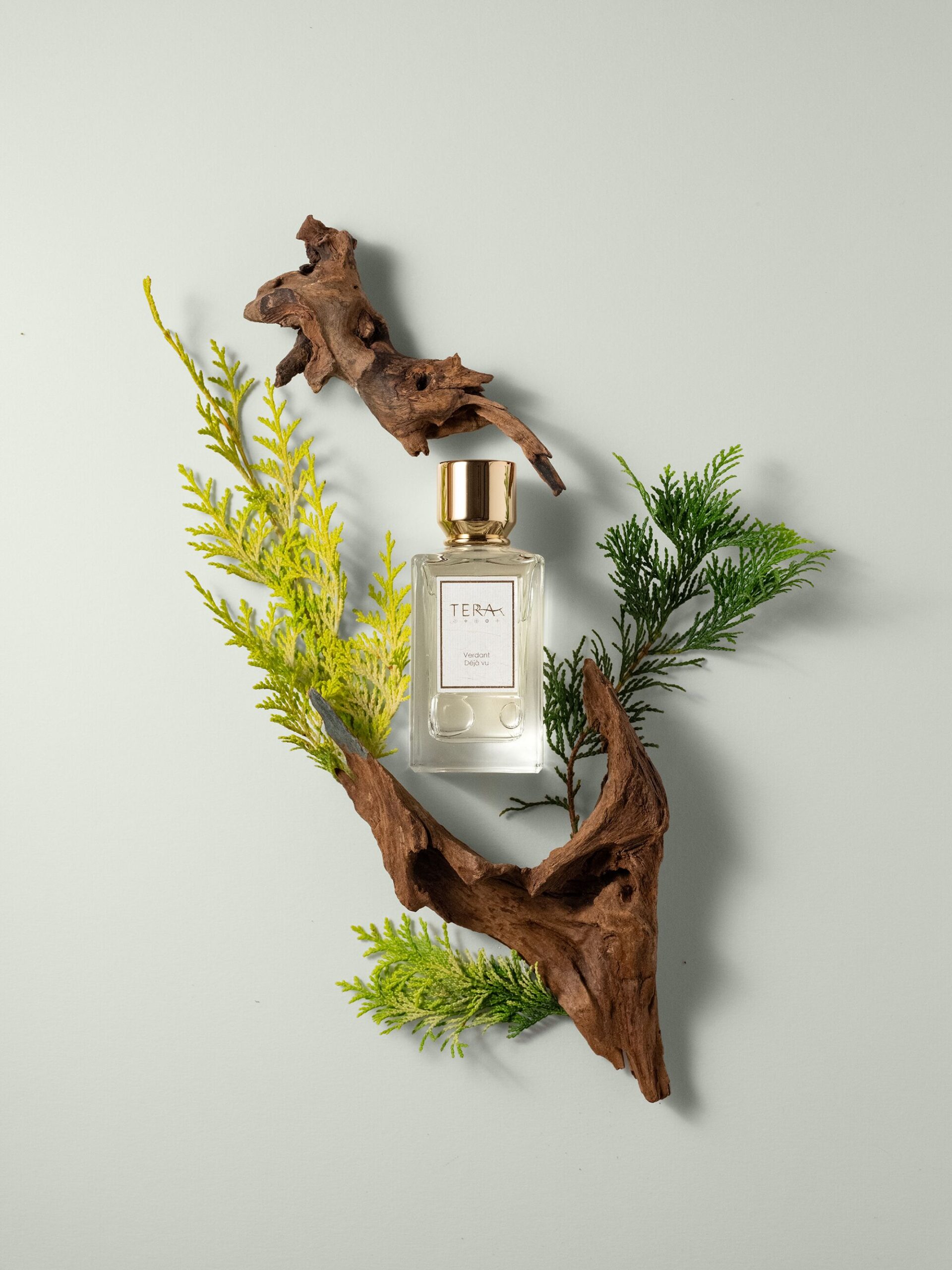 عطر ادکلن وردنت دژا وو ترا تی - Verdant Déjà Vu Terra T - بررسی، قیمت و خرید