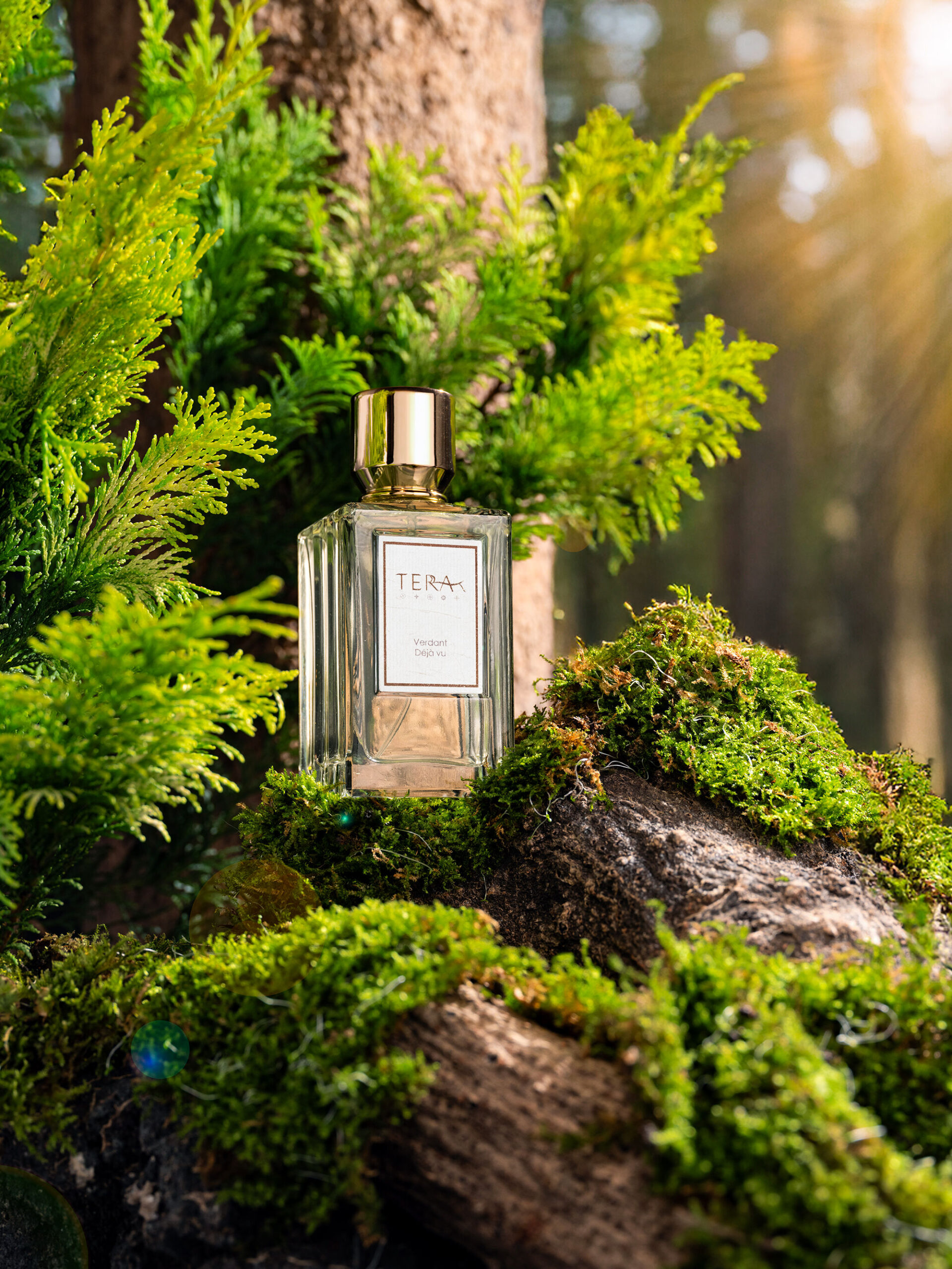 عطر ادکلن وردنت دژا وو ترا تی - Verdant Déjà Vu Terra T - بررسی، قیمت و خرید