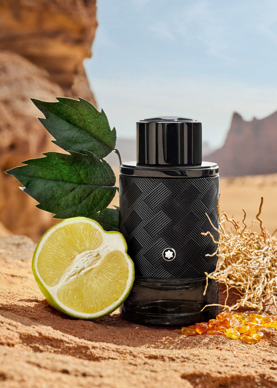 عطر ادکلن اکسپلورر اکستریم مون بلان - Explorer Extreme Montblanc - بررسی، قیمت و خرید
