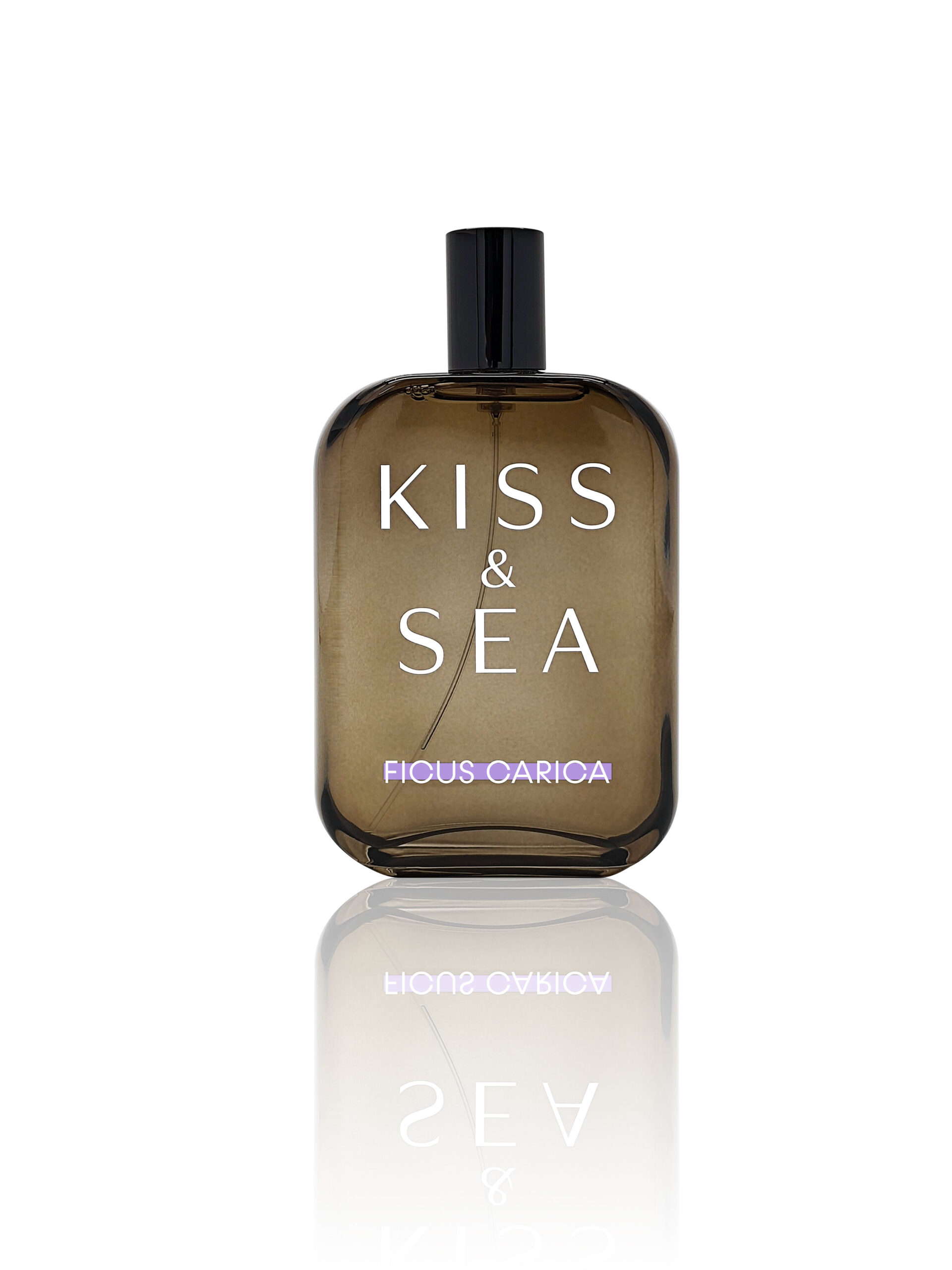 عطر ادکلن کیس اند سی فیکوس کاریکا سامام - Kiss & Sea Ficus Carica Samam - بررسی، قیمت و خرید