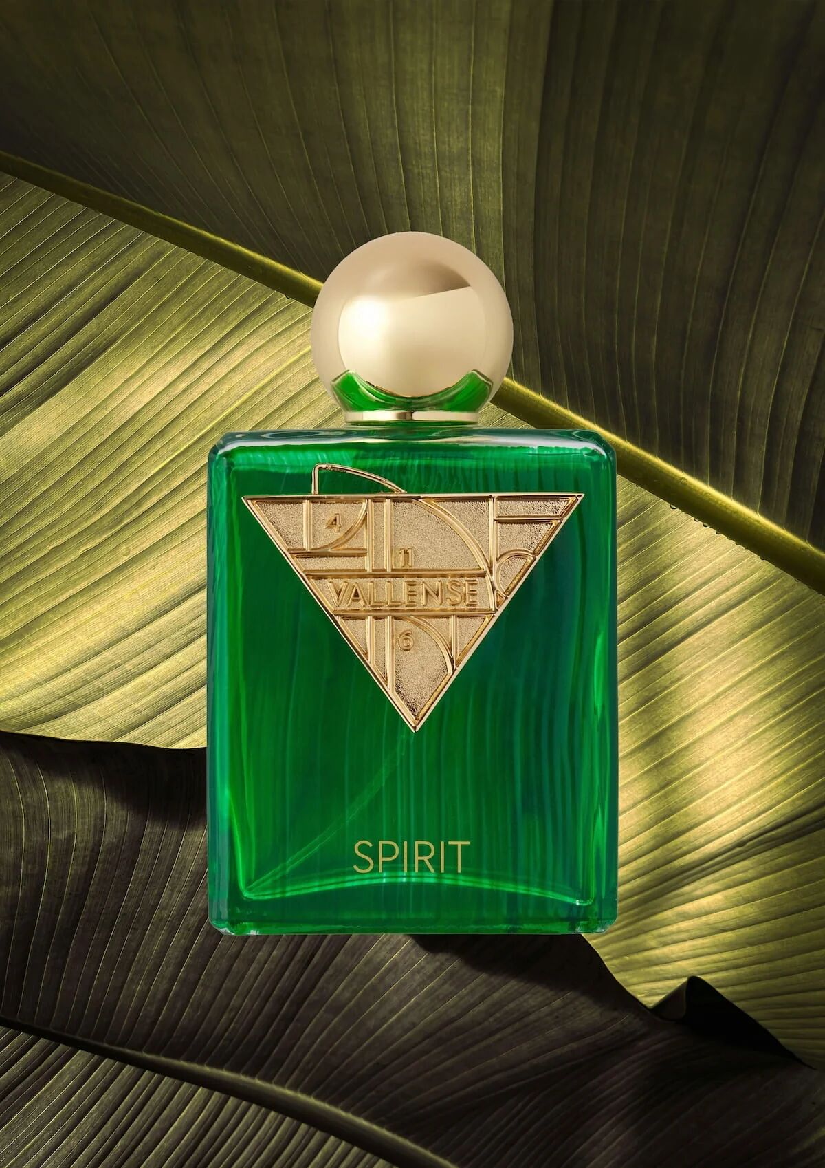 عطر ادکلن اسپریت والنسه - Spirit Vallense - بررسی، قیمت و خرید