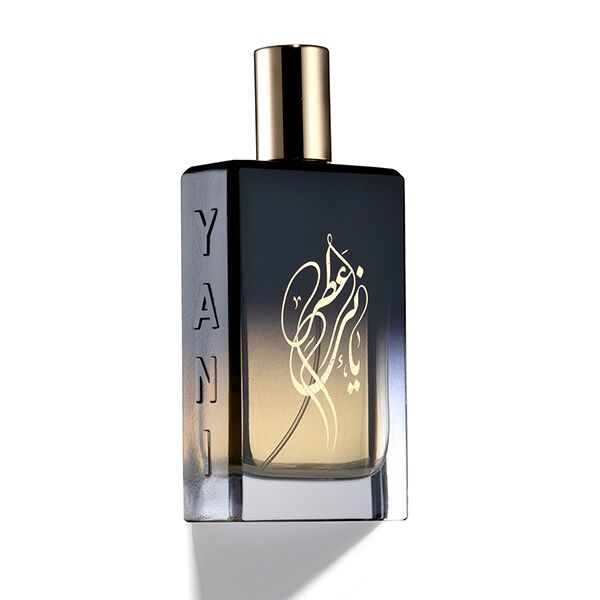 عطر ادکلن سیلور بیچ یعنی - Silver Beach YANI - بررسی، قیمت و خرید