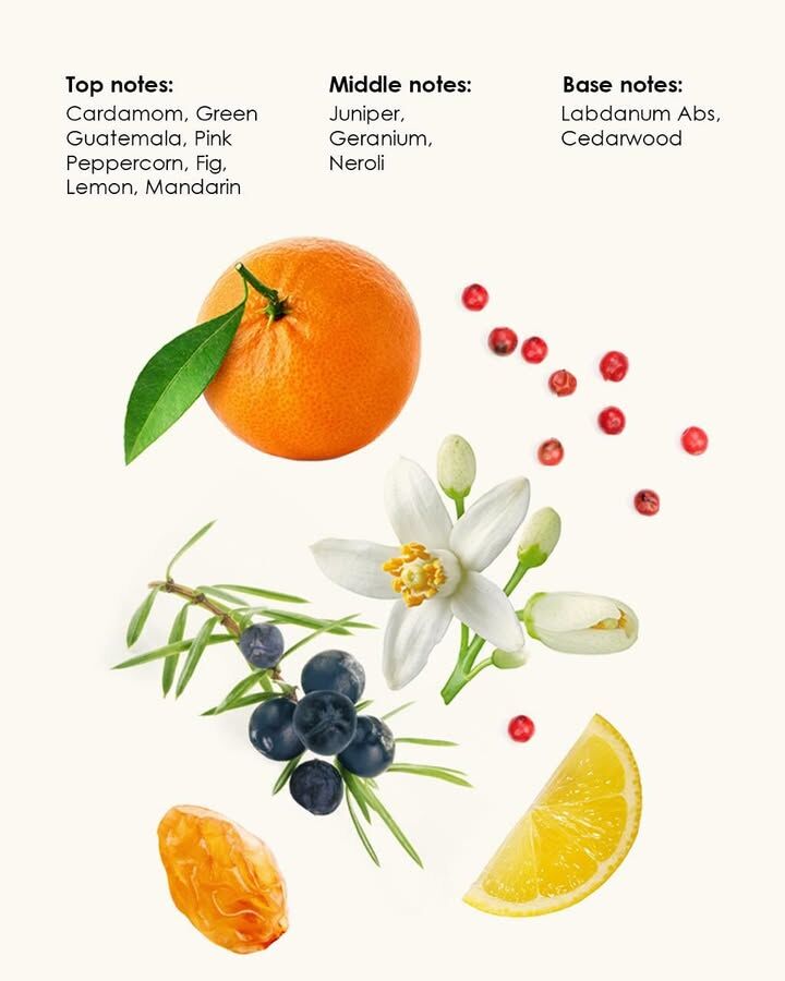 عطر ادکلن رز عربیا ماندارین ویدین - Rose Arabia Mandarine WIDIAN - بررسی، قیمت و خرید