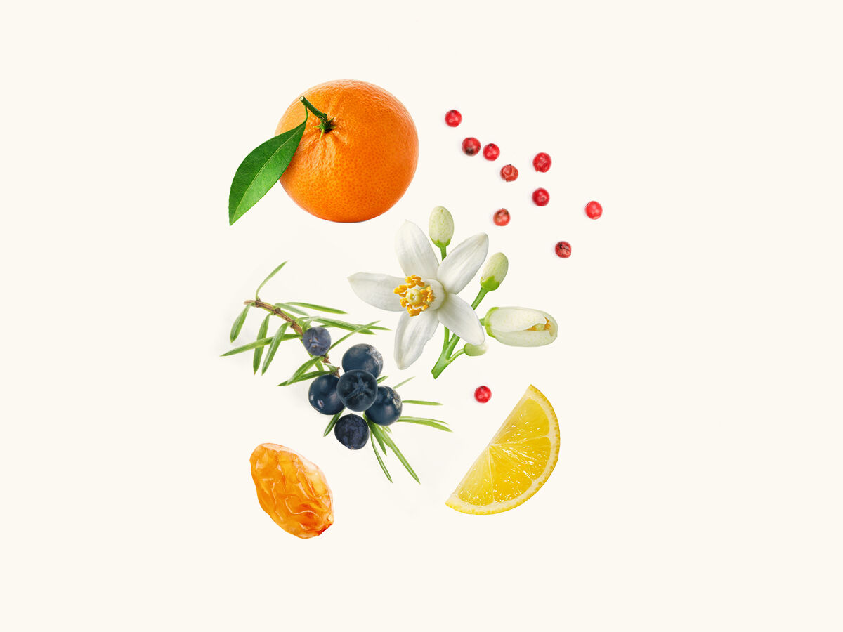 عطر ادکلن رز عربیا ماندارین ویدین - Rose Arabia Mandarine WIDIAN - بررسی، قیمت و خرید