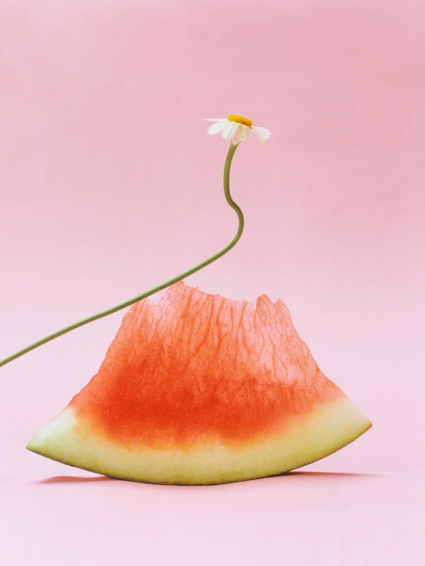 عطر ادکلن چری واترملون آیس زارا - Cherry Watermelon Ice Zara - بررسی، قیمت و خرید