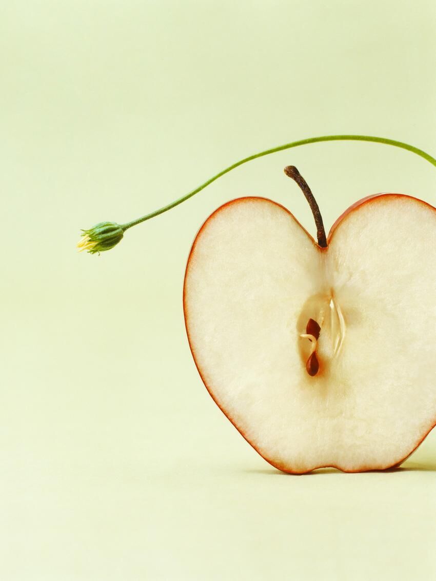 عطر ادکلن هیپ هاپ رد اپل زارا - Hip Hop Red Apple Zara - بررسی، قیمت و خرید