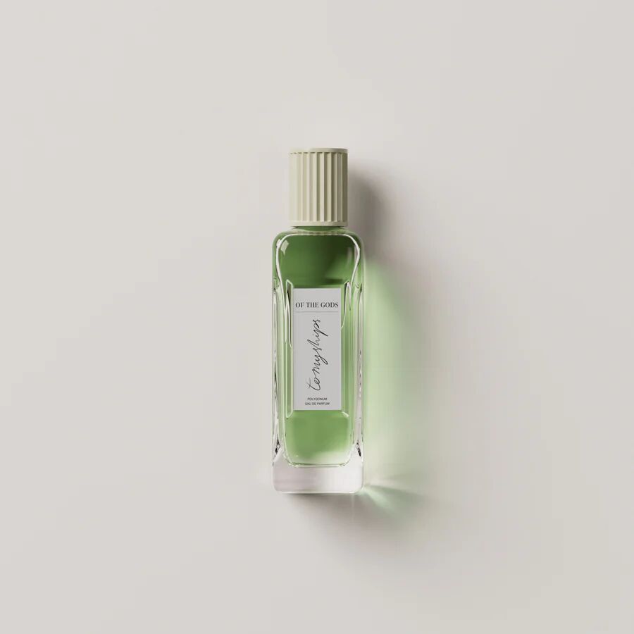 عطر ادکلن آفتگادز تو مای شیپس - Of The Gods To My Ships - بررسی، قیمت و خرید