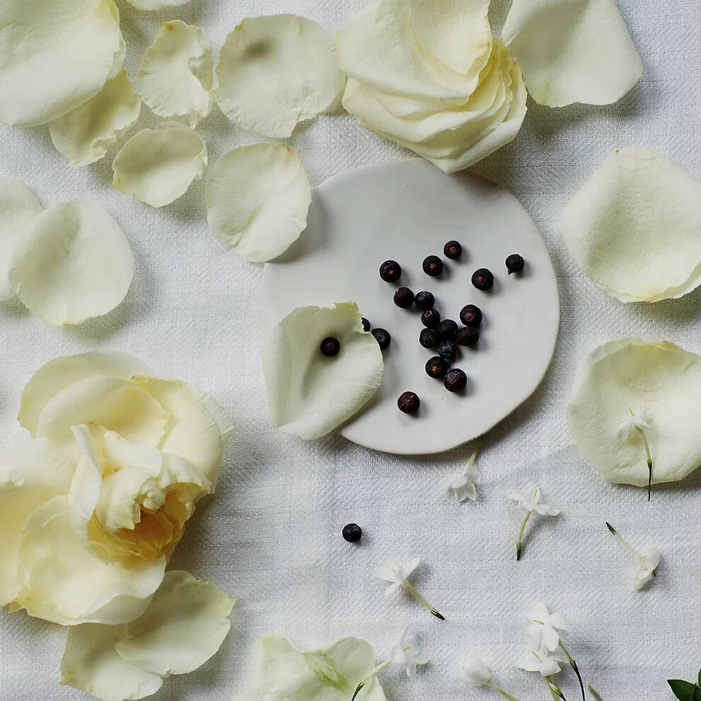 عطر ادکلن بلانک د وایت کامپنی - Blanc The White Company - بررسی، قیمت و خرید