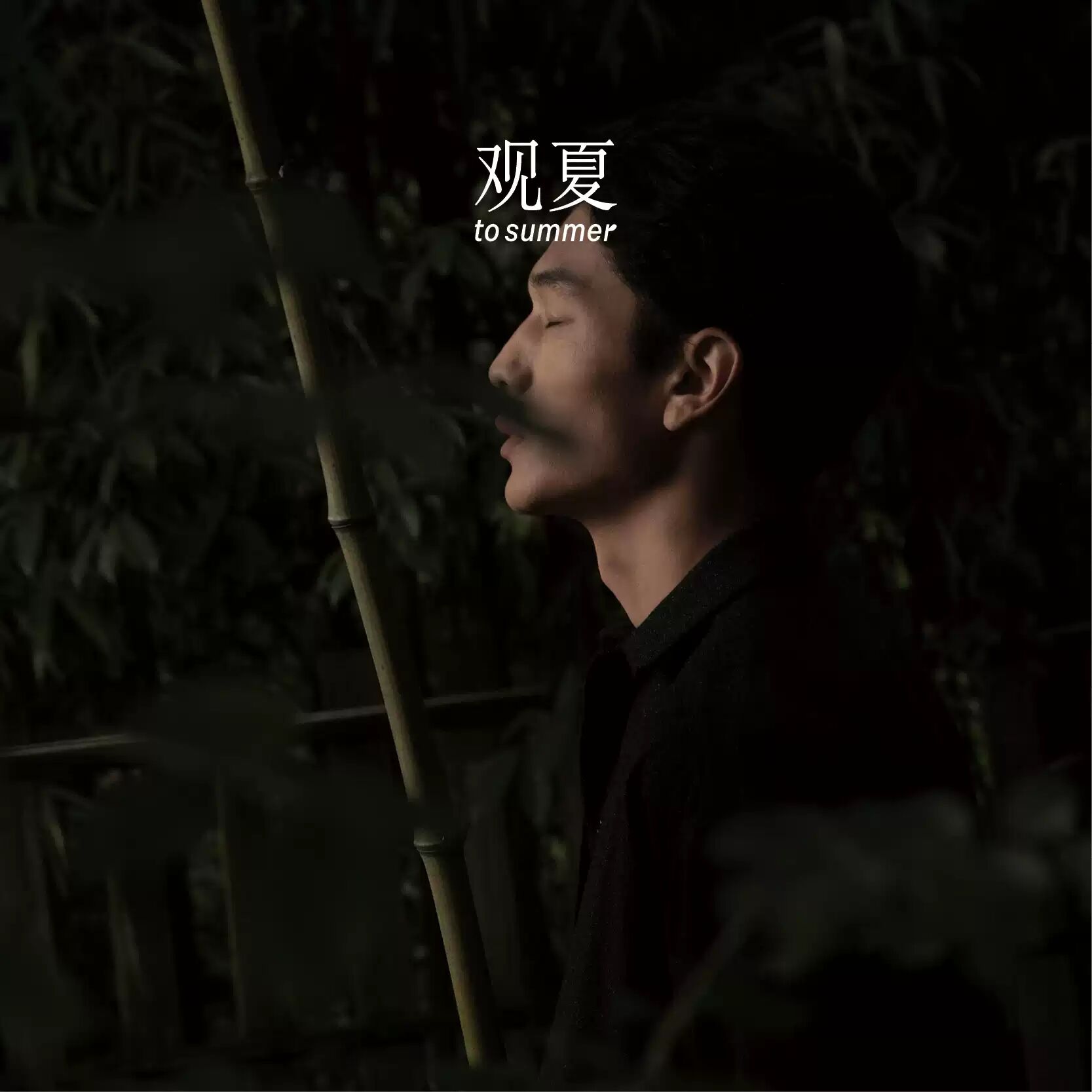 عطر ادکلن وید کونگ کین یانچا تو سامر - Void 空境研茶 To Summer | 观夏 - بررسی، قیمت و خرید