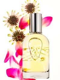 عطر ادکلن لاو ام سی ام سی فراگرنسز - Love MCMC Fragrances - بررسی، قیمت و خرید