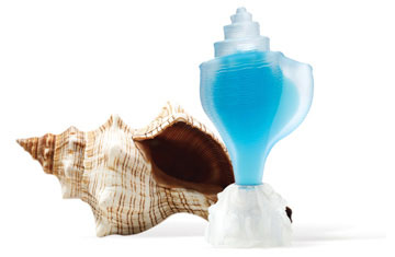 عطر ادکلن کانک سی جولز - Conch Seajewels - بررسی، قیمت و خرید