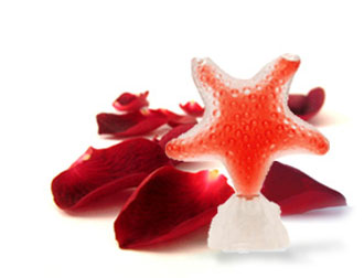 عطر ادکلن استار رد پشن سی‌جولز - Star Red Pasion Seajewels - بررسی، قیمت و خرید