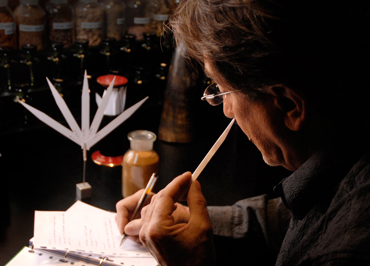 عطر ادکلن دِرای وود رامون مونگال - Dry Wood Ramon Monegal - بررسی، قیمت و خرید