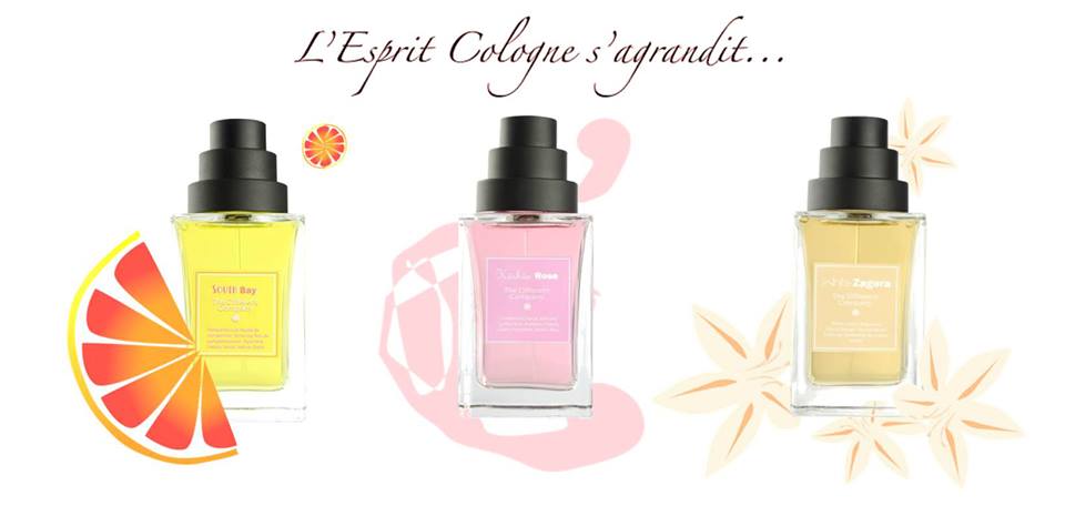 عطر ادکلن سوت بِی د دیفرنت کامپنی - South Bay The Different Company - بررسی، قیمت و خرید