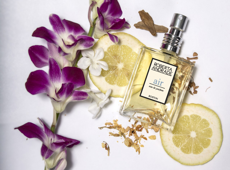 عطر ادکلن اِر روبرتا آندراده - Air Roberta Andrade - بررسی، قیمت و خرید